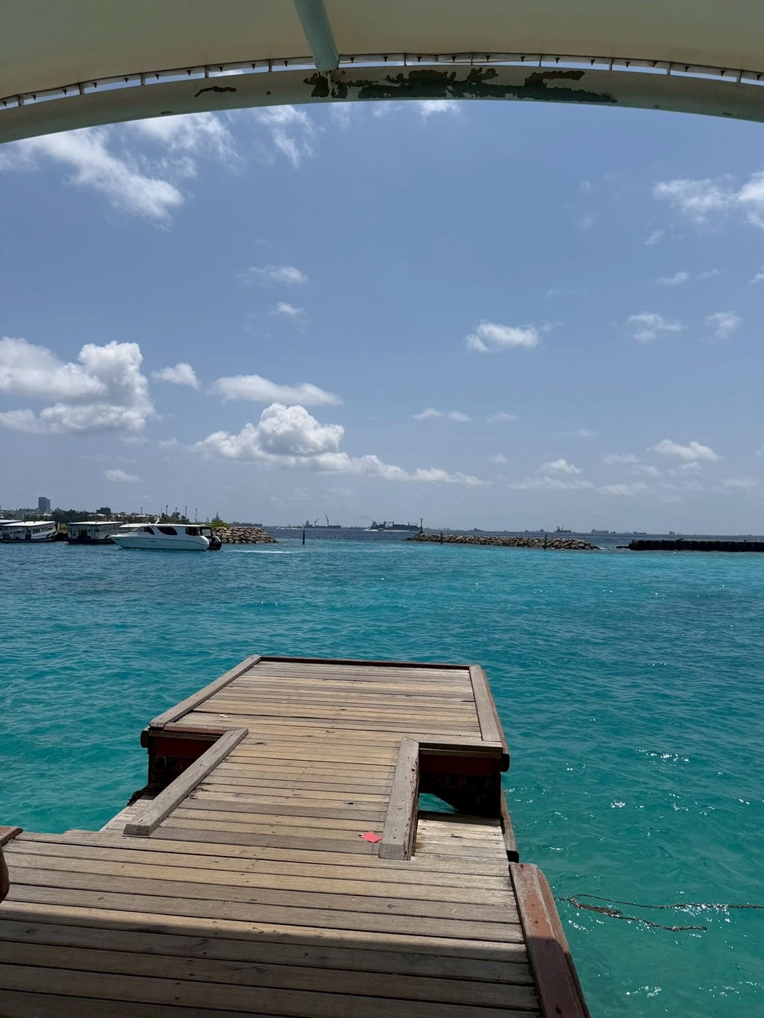 วี - วิโอเลต วอเทียร์