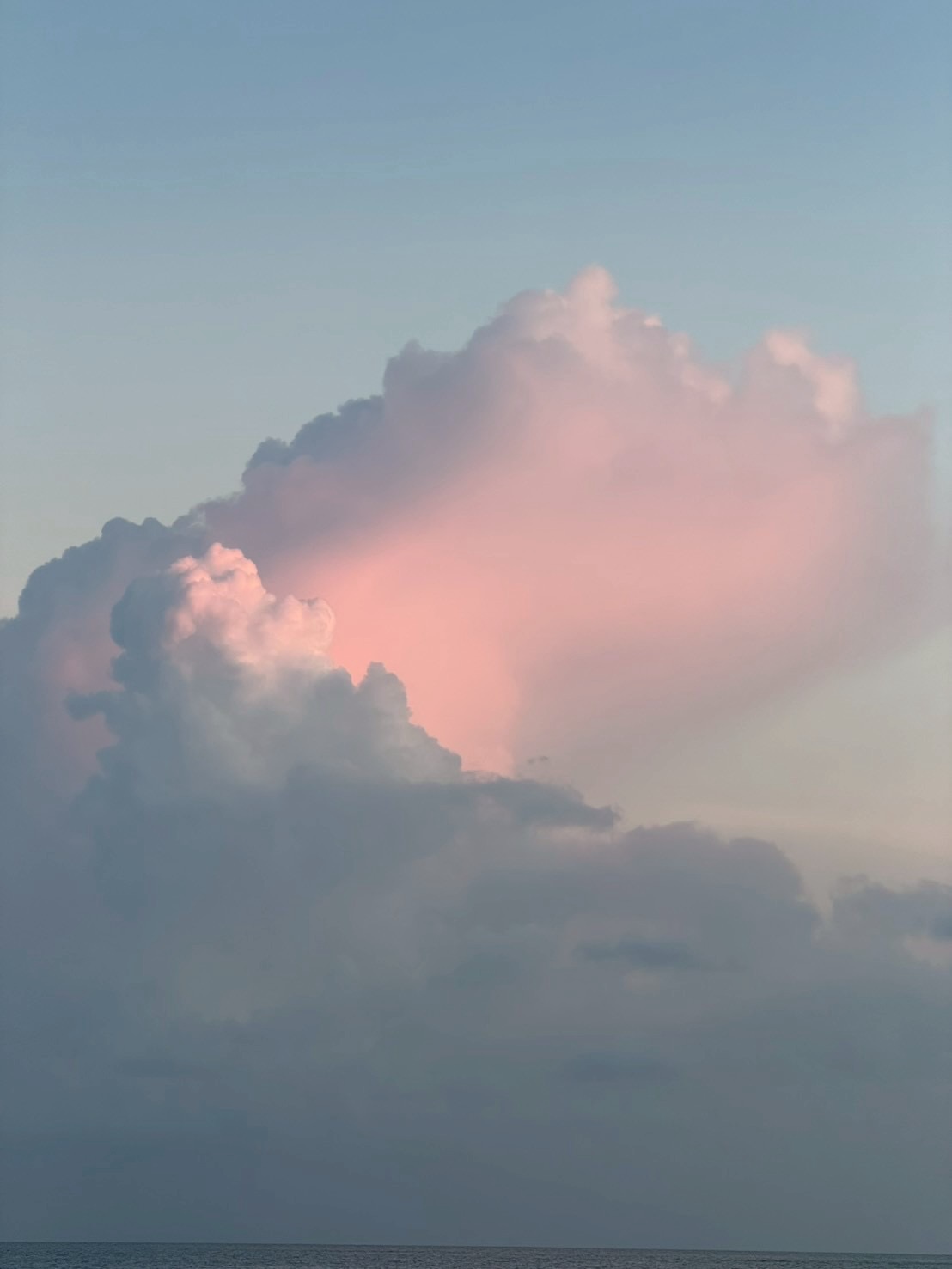 วี - วิโอเลต วอเทียร์