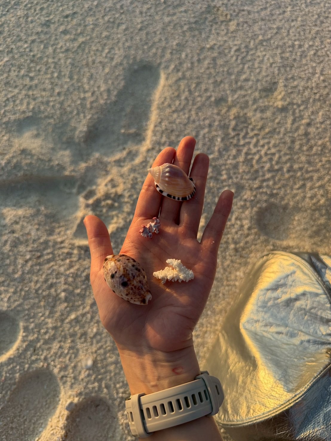 วี - วิโอเลต วอเทียร์