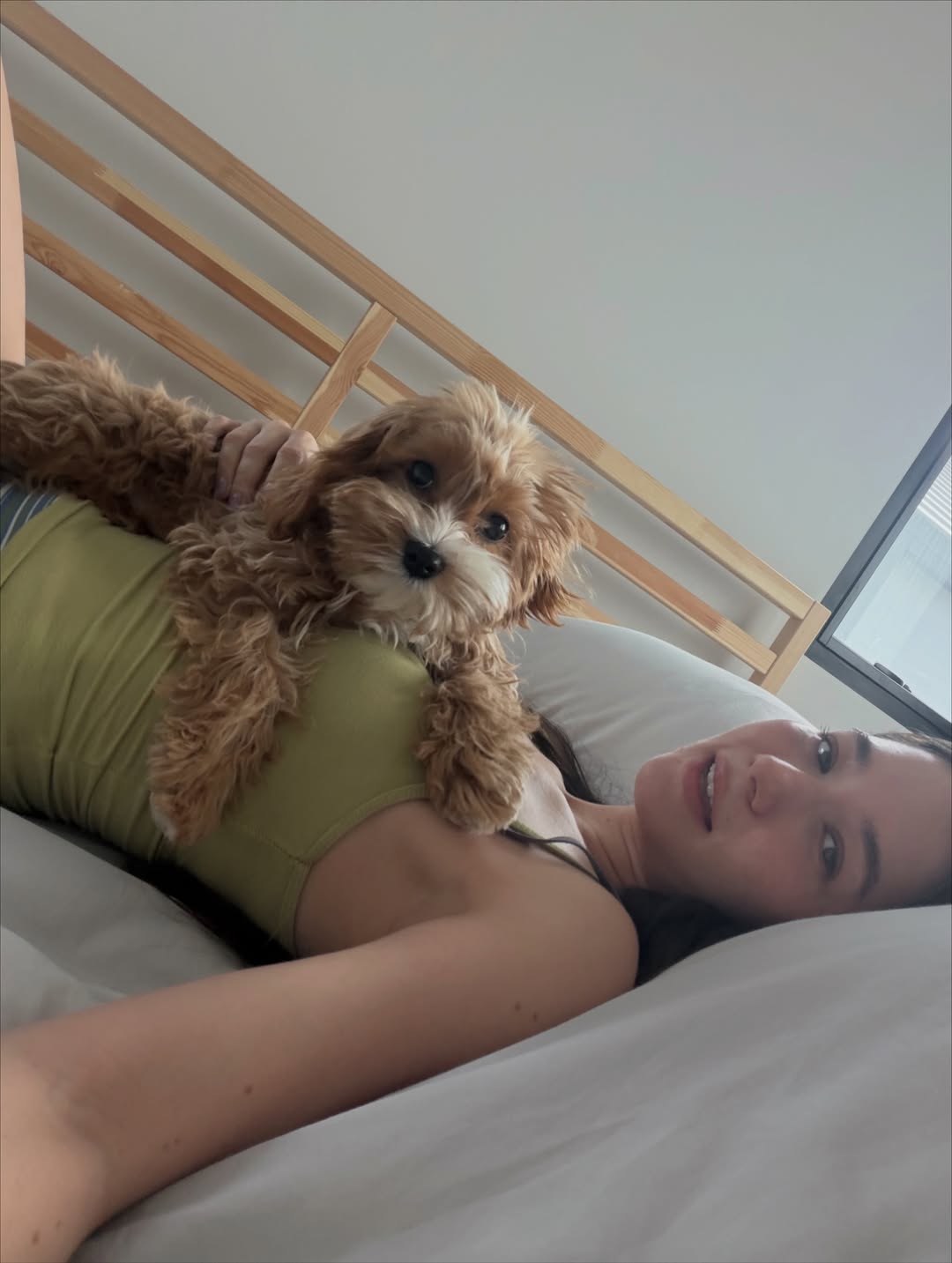 วี - วิโอเลต วอเทียร์