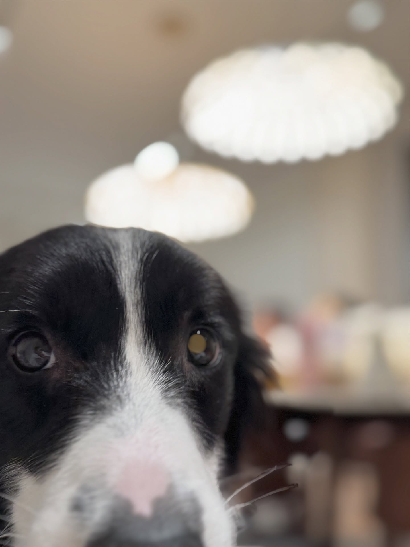 ต้น - อาชว์ ไหลสกุล