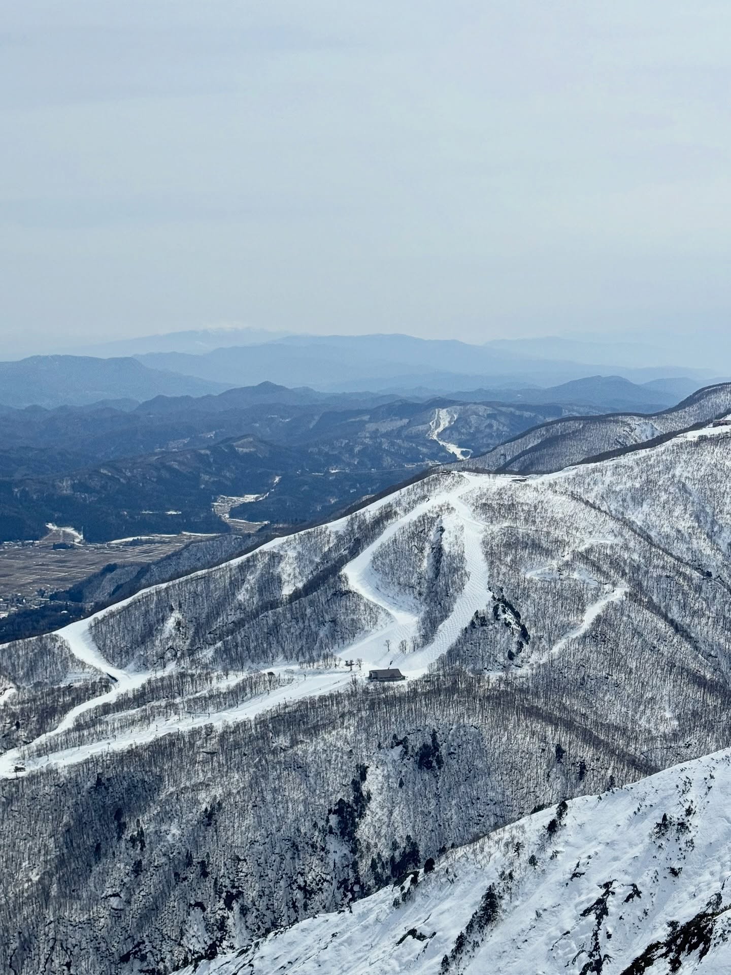 ต้น - อาชว์ ไหลสกุล
