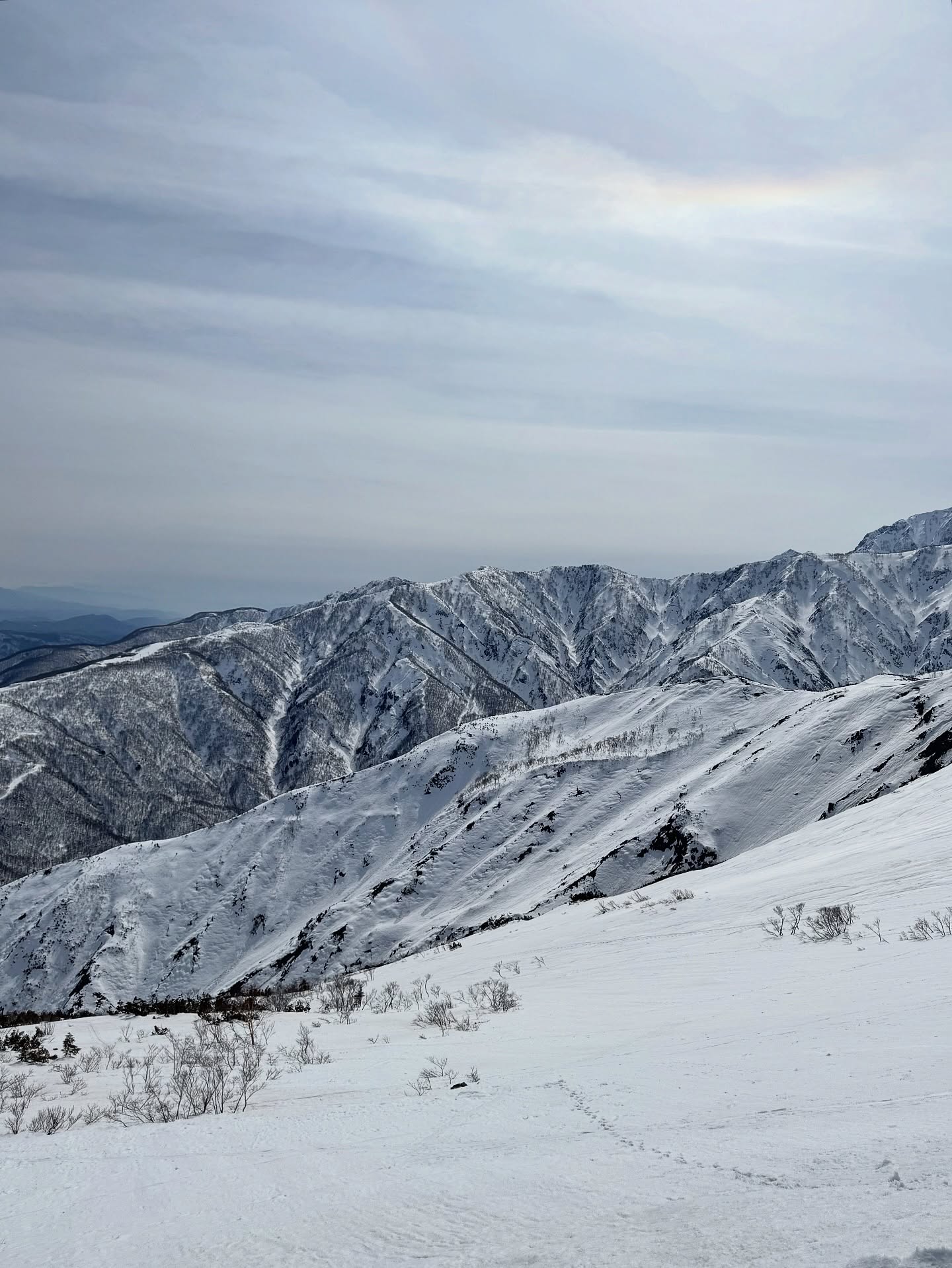 ต้น - อาชว์ ไหลสกุล
