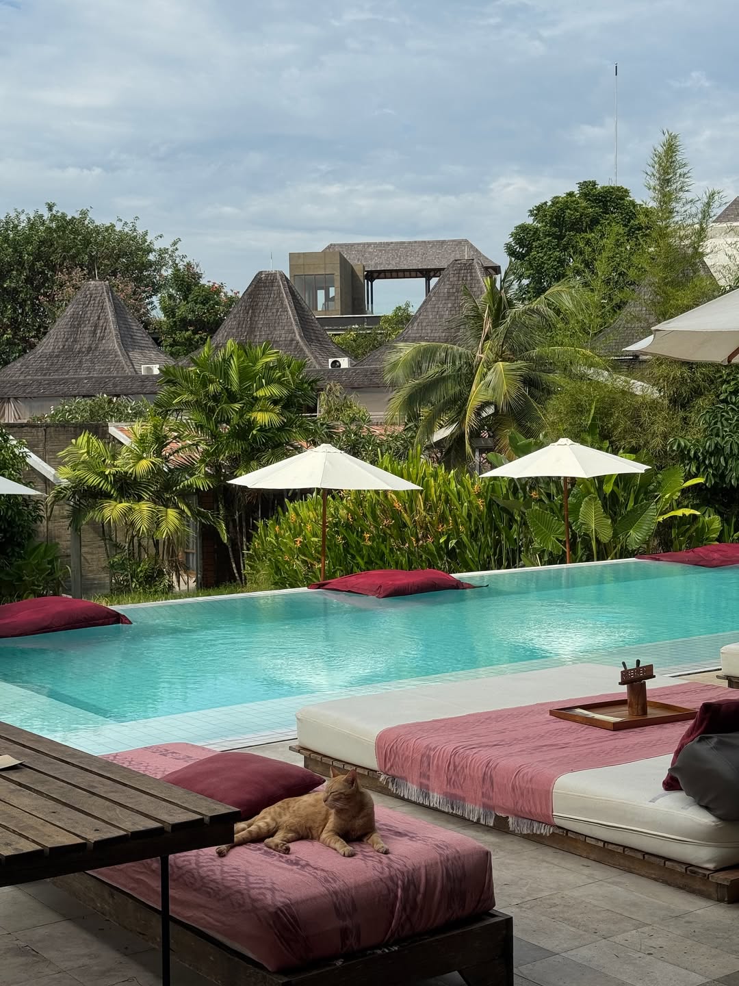 ต๊อด - ปนพงษ์ ไขแสง