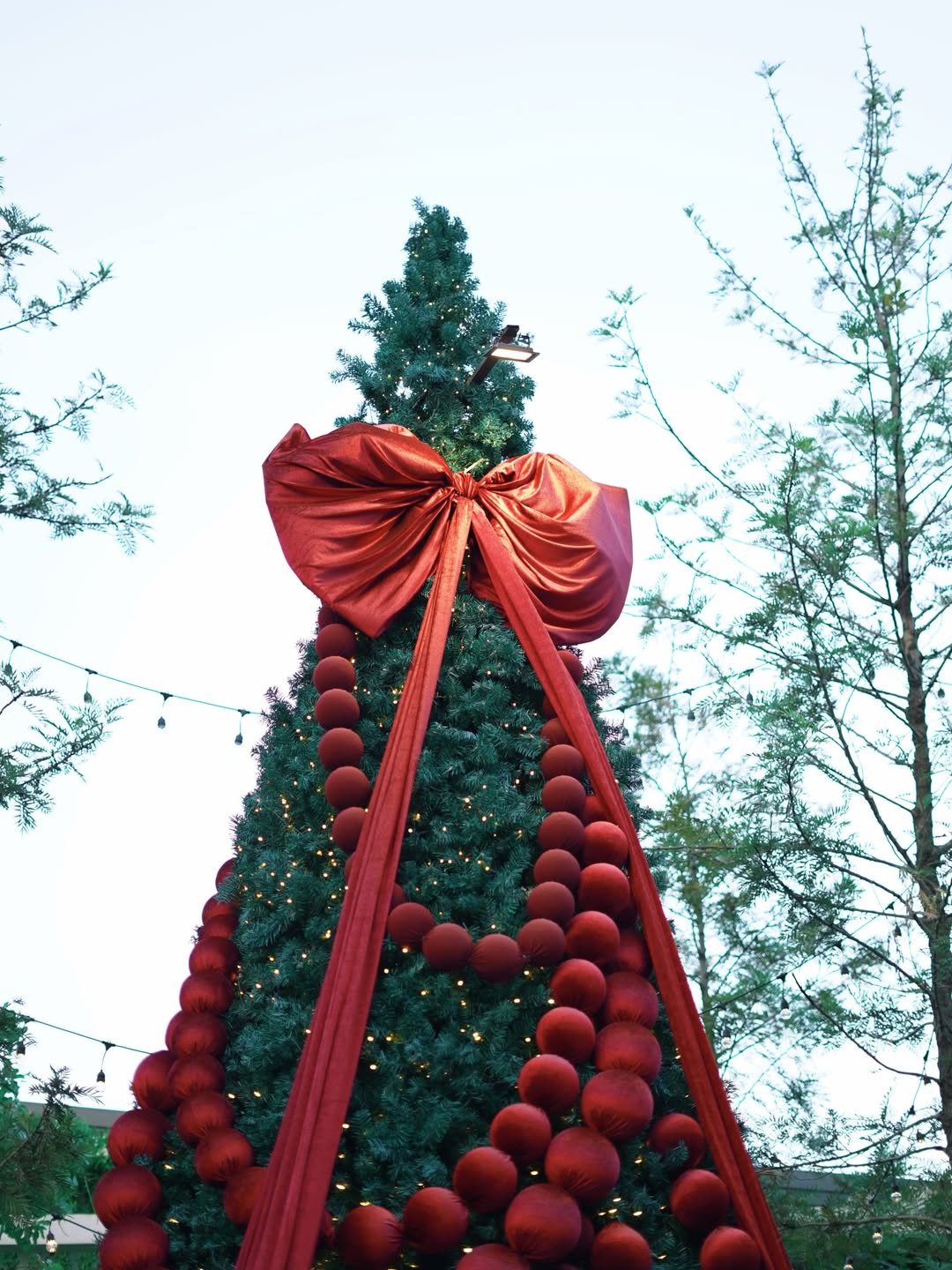 ต๊อด - ปนพงษ์ ไขแสง