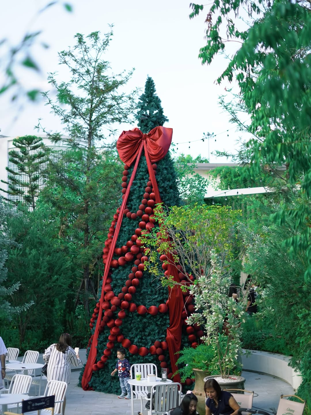 ต๊อด - ปนพงษ์ ไขแสง