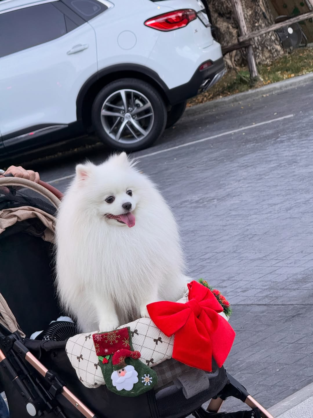 ต๊อด - ปนพงษ์ ไขแสง