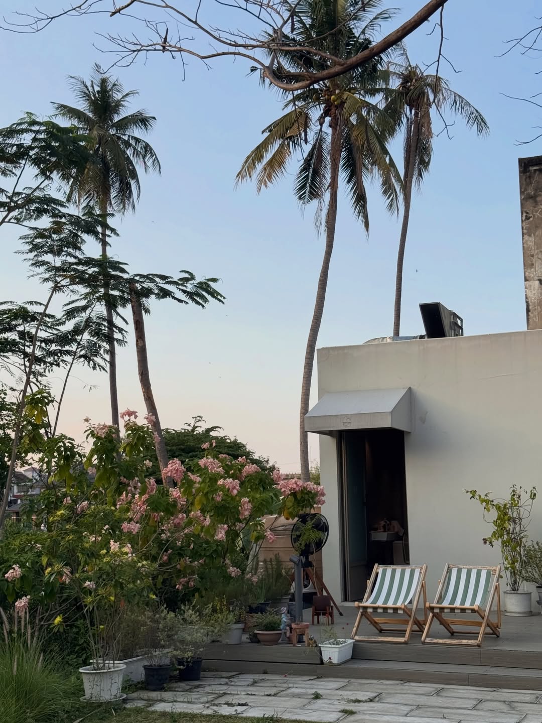 ต๊อด - ปนพงษ์ ไขแสง