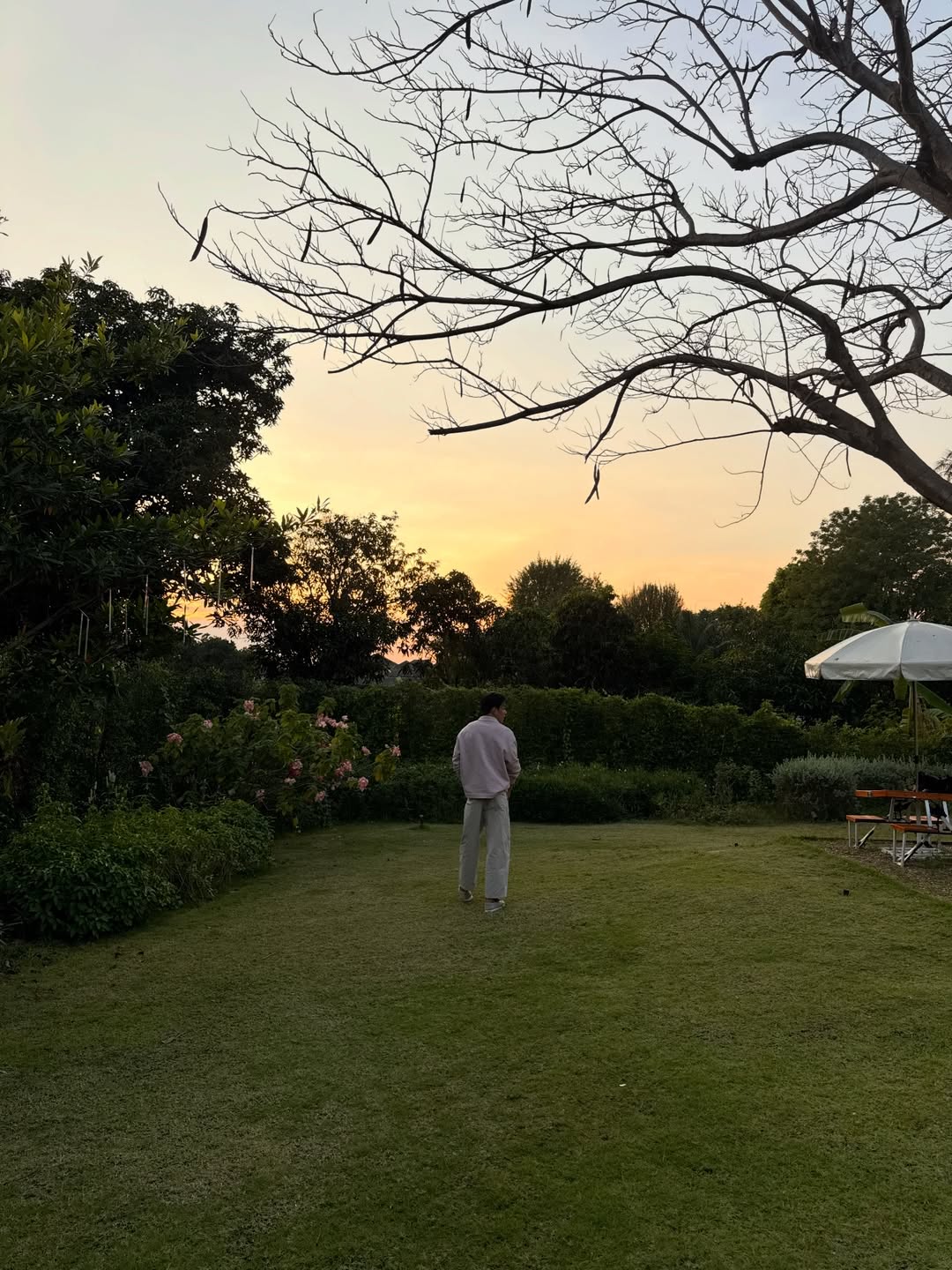 ต๊อด - ปนพงษ์ ไขแสง