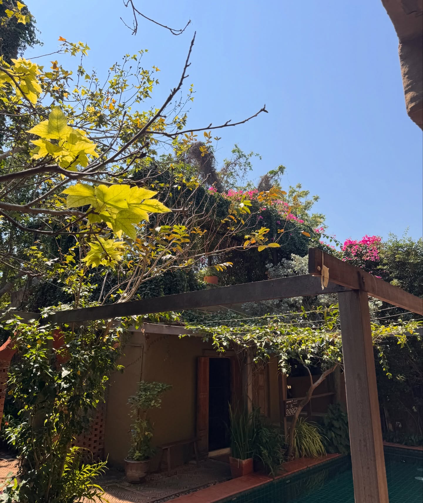 ต๊อด - ปนพงษ์ ไขแสง