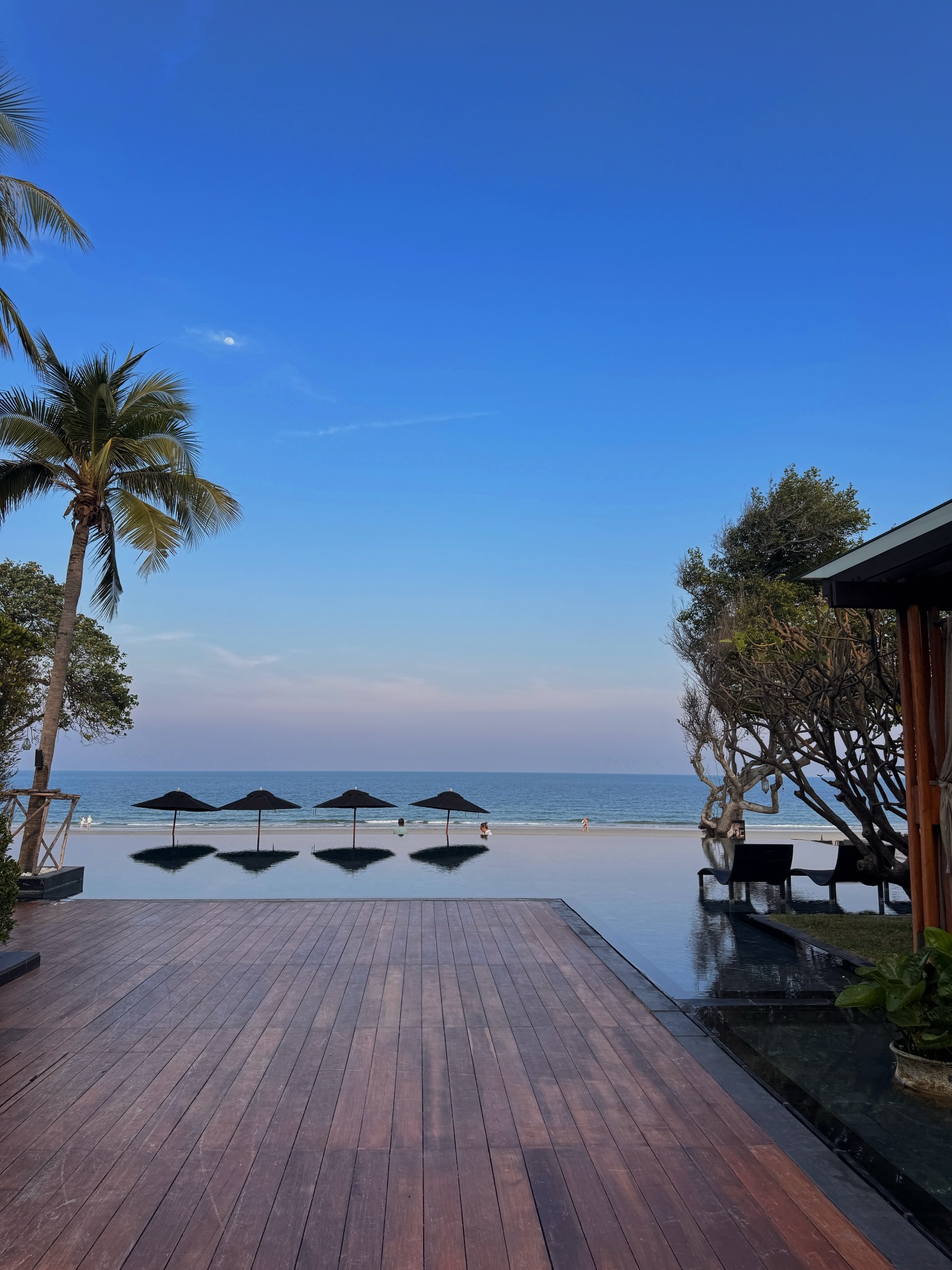 ต๊อด - ปนพงษ์ ไขแสง