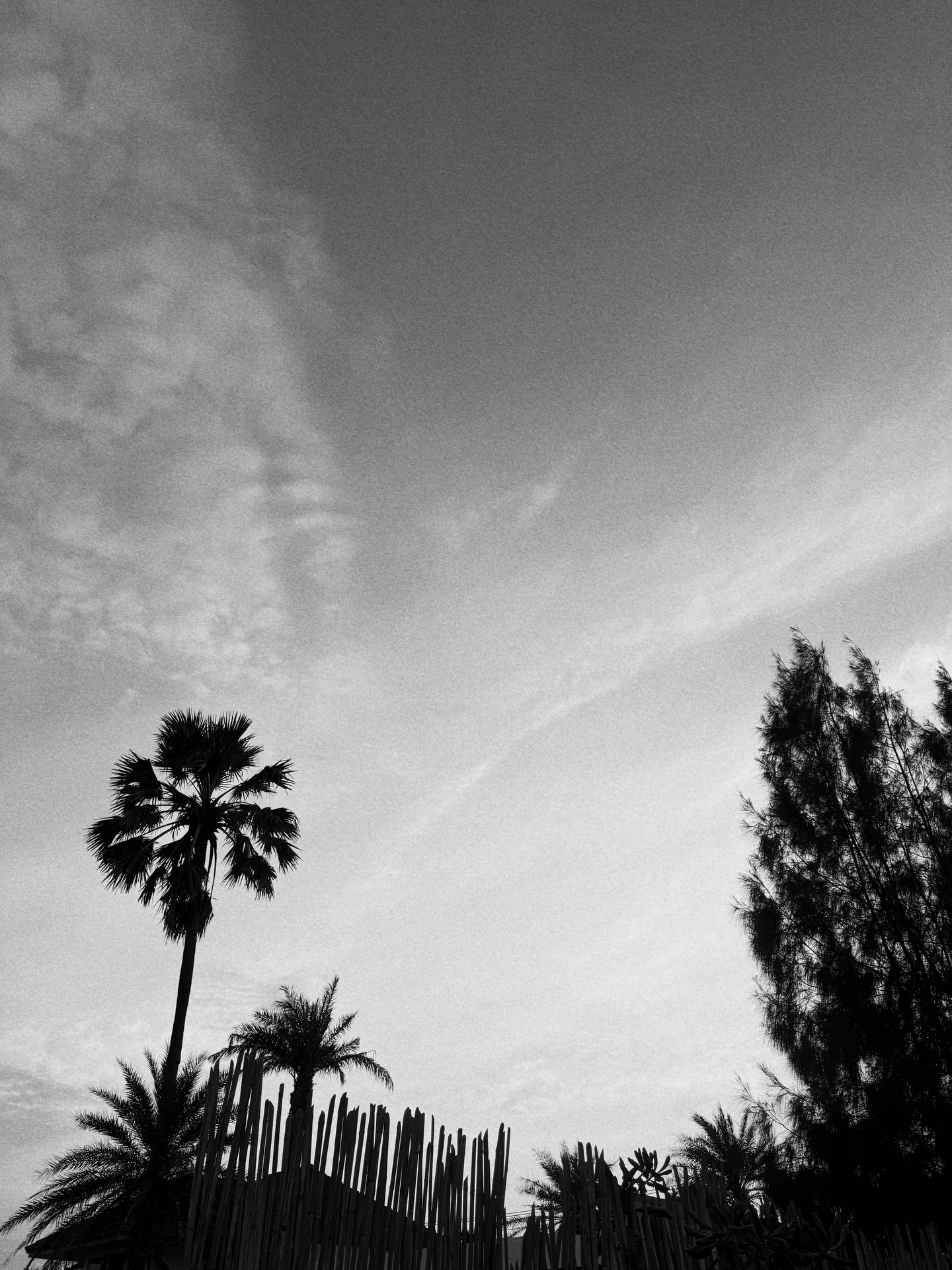 ต๊อด - ปนพงษ์ ไขแสง