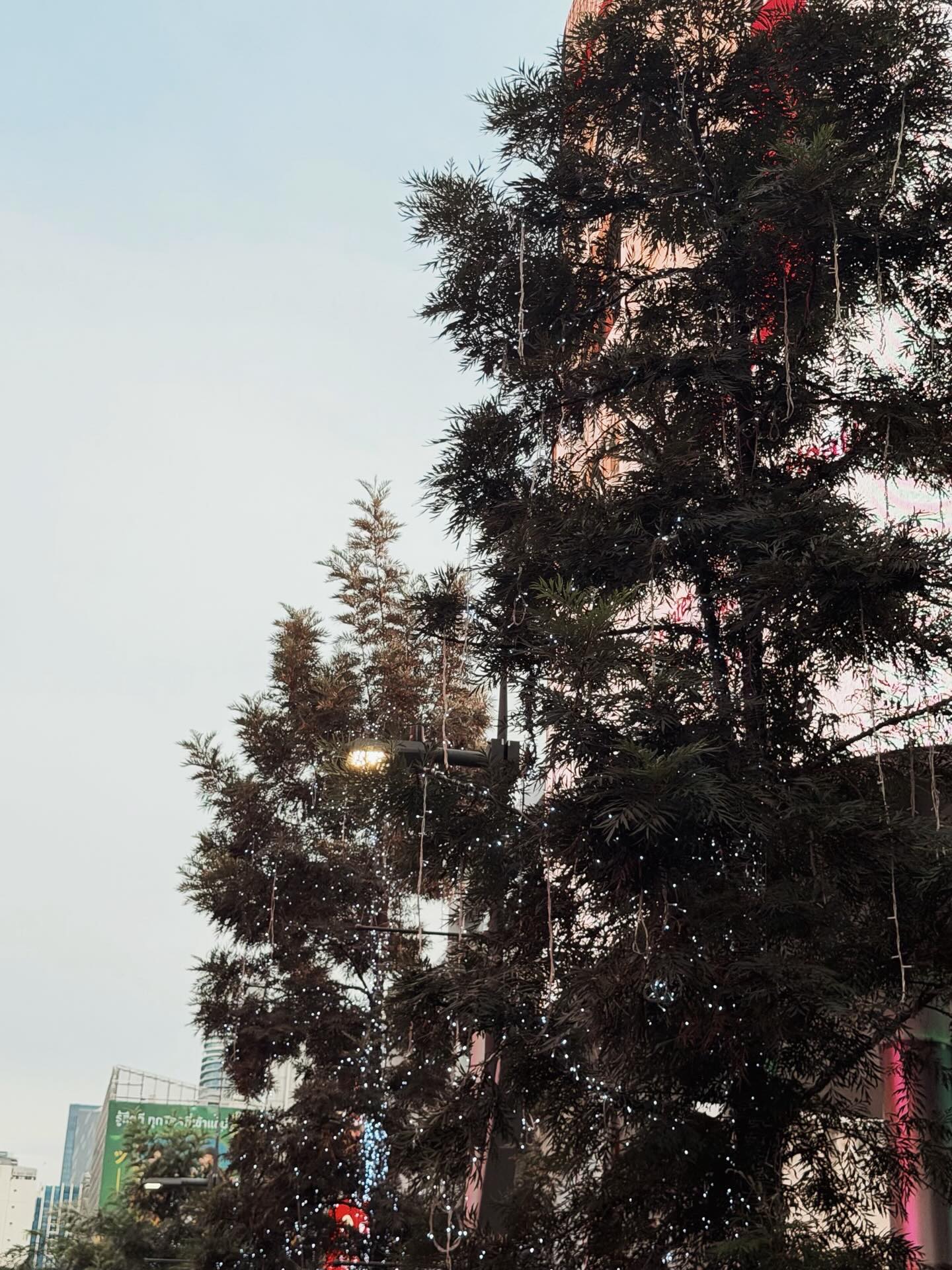 ยูโร - ยศวรรธน์ ทะวาปี