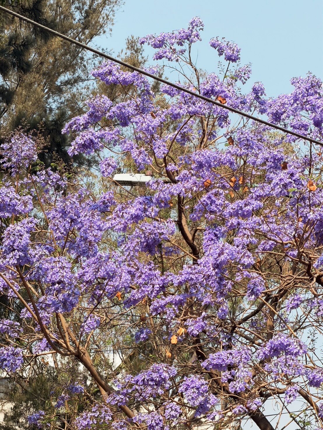 ยูโร - ยศวรรธน์ ทะวาปี