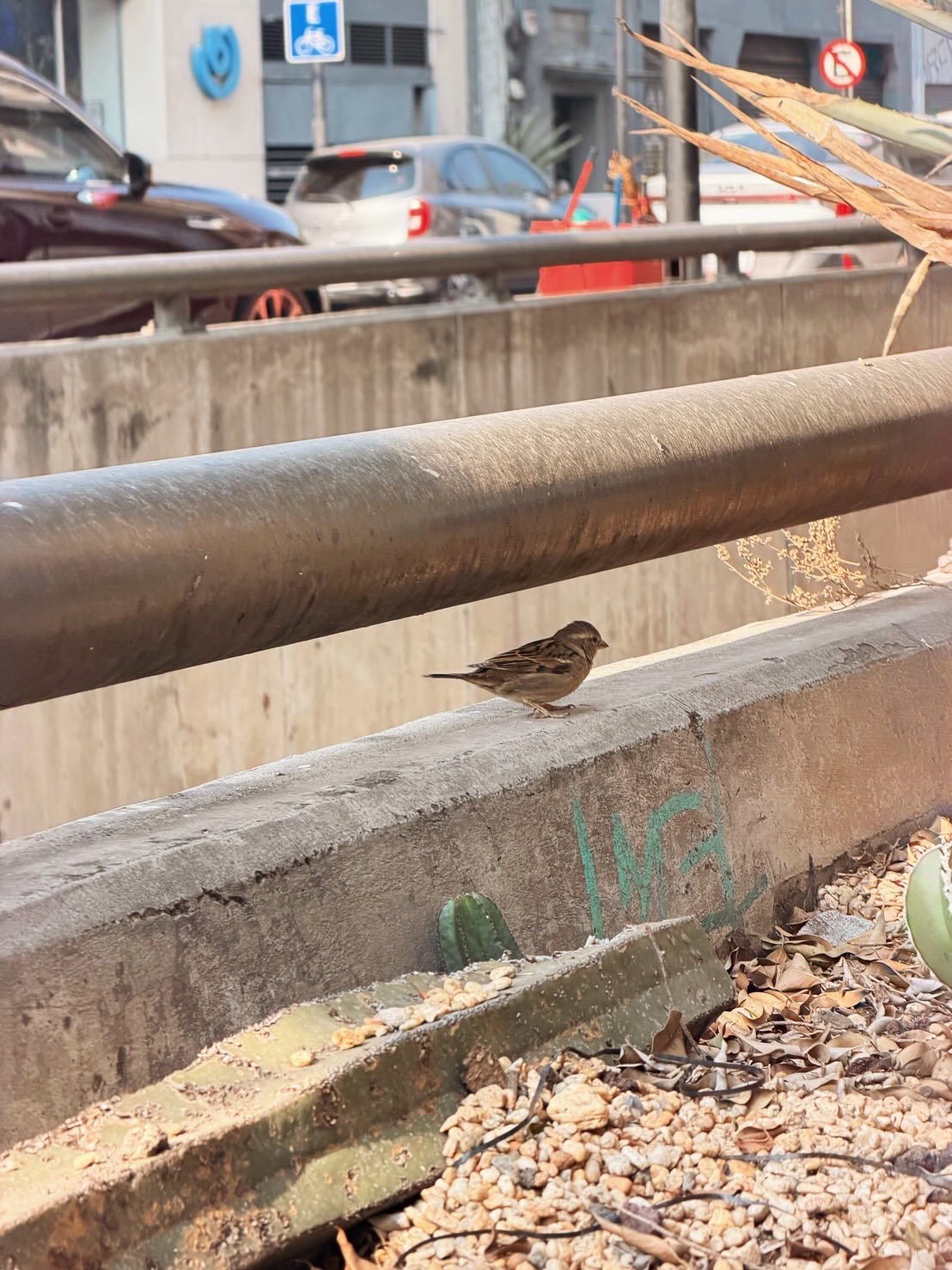 ยูโร - ยศวรรธน์ ทะวาปี