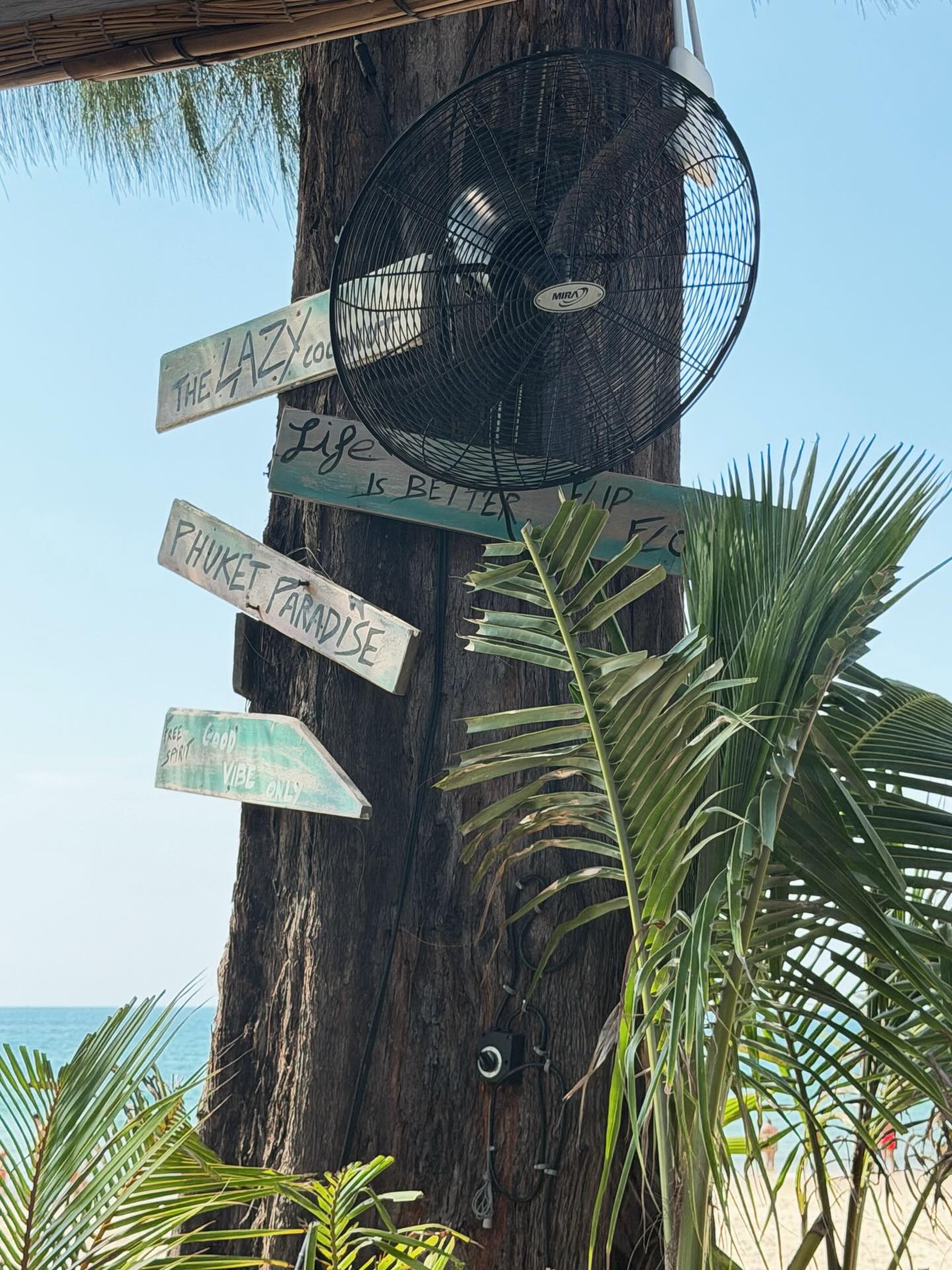 ยูโร - ยศวรรธน์ ทะวาปี