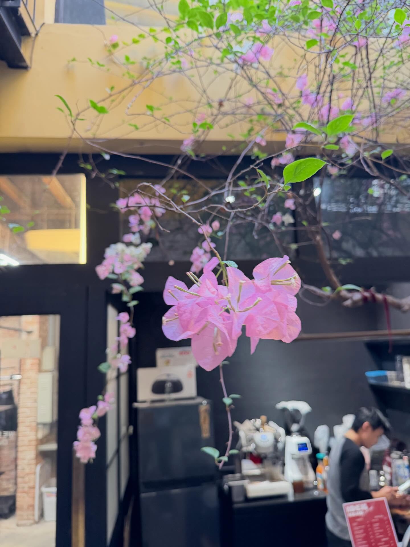 ยูโร - ยศวรรธน์ ทะวาปี