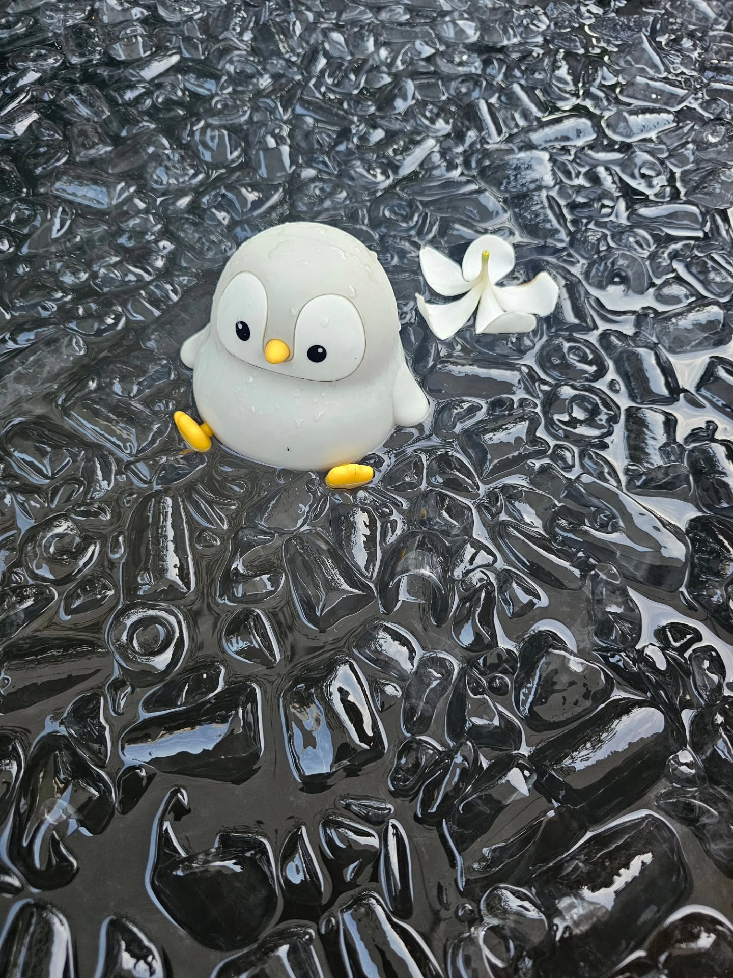 วู้ดดี้ - วุฒิธร มิลินทจินดา