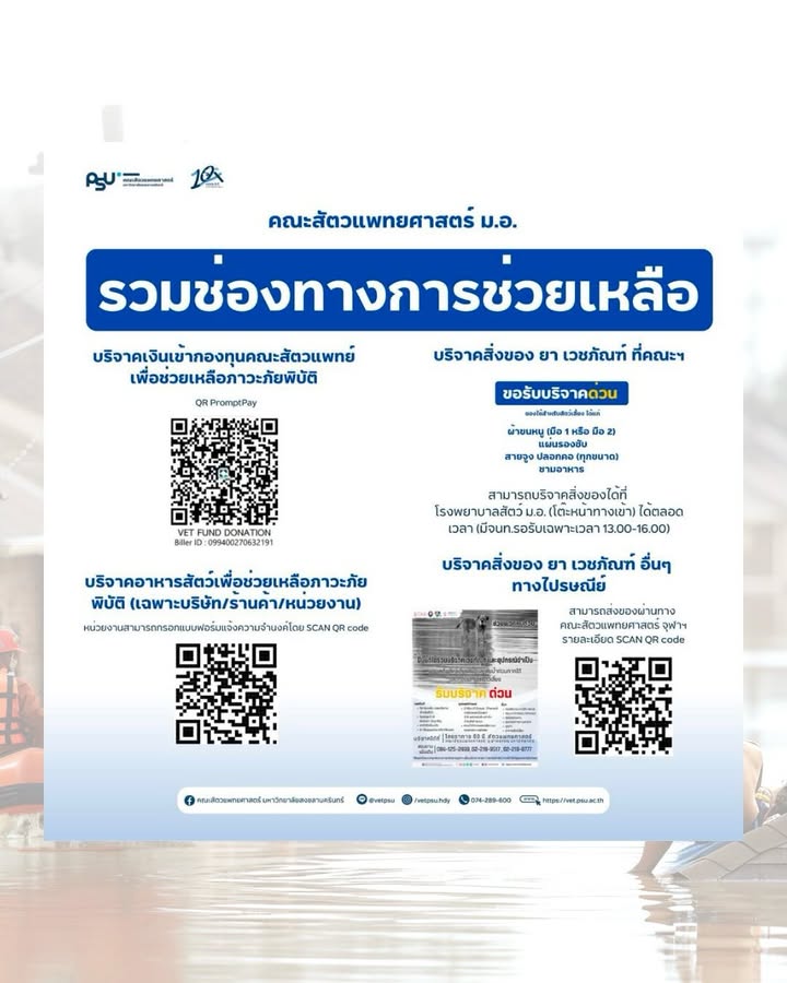 วู้ดดี้ - วุฒิธร มิลินทจินดา