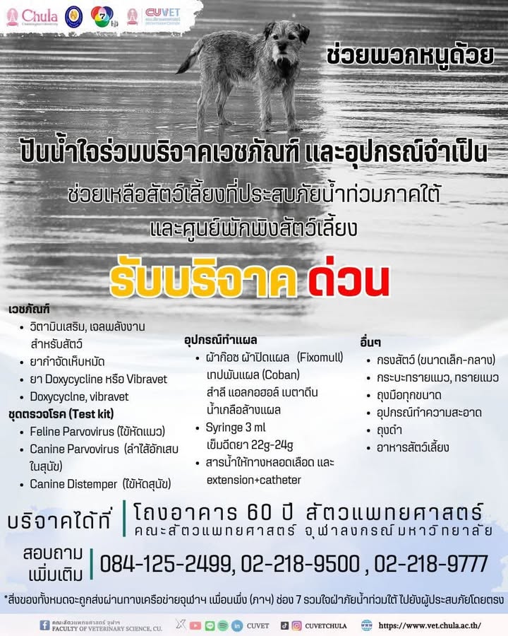 วู้ดดี้ - วุฒิธร มิลินทจินดา