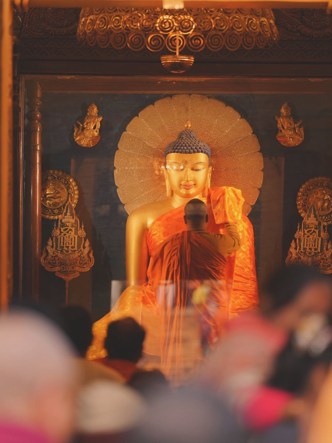 วู้ดดี้ - วุฒิธร มิลินทจินดา