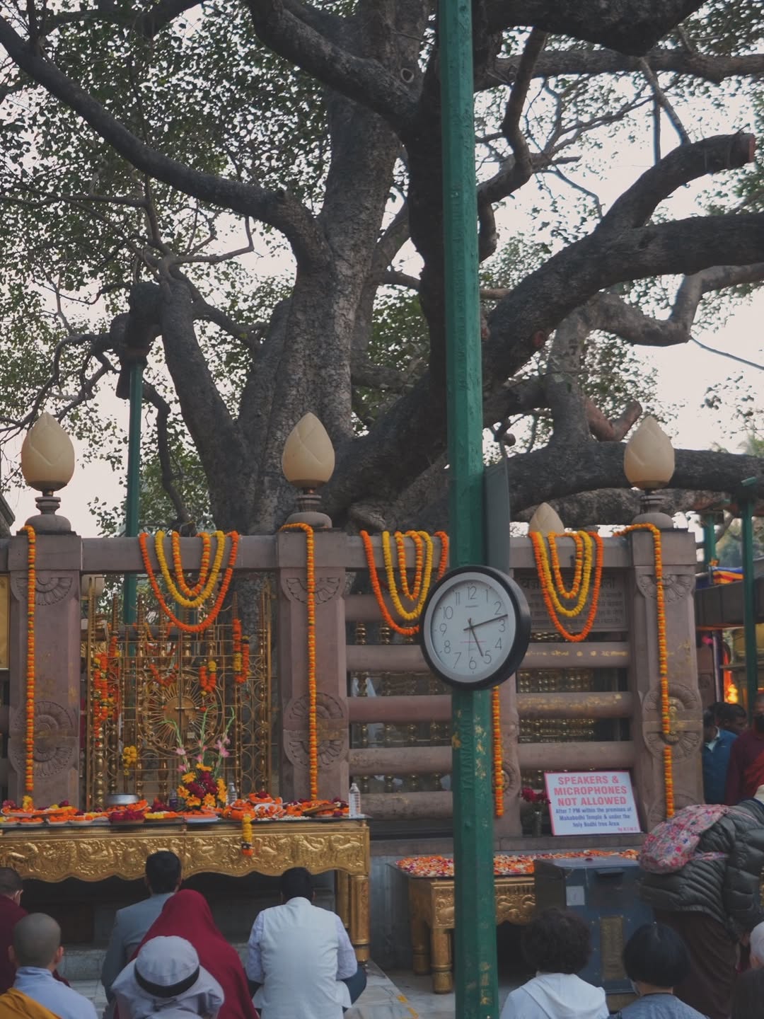 วู้ดดี้ - วุฒิธร มิลินทจินดา