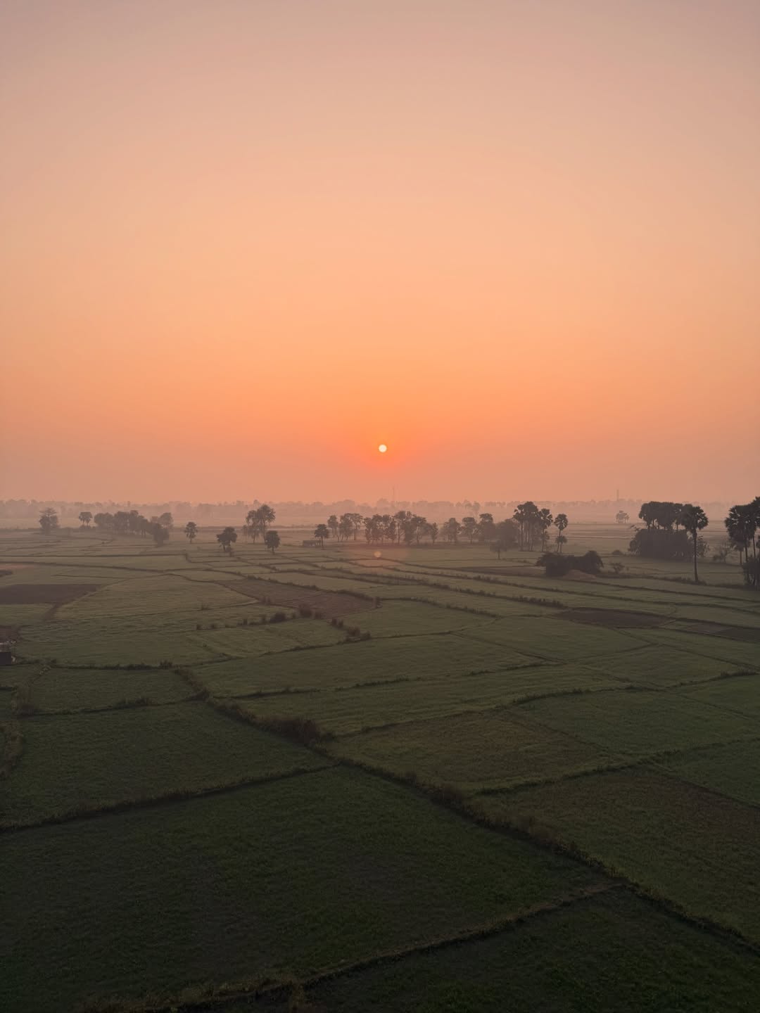 วู้ดดี้ - วุฒิธร มิลินทจินดา