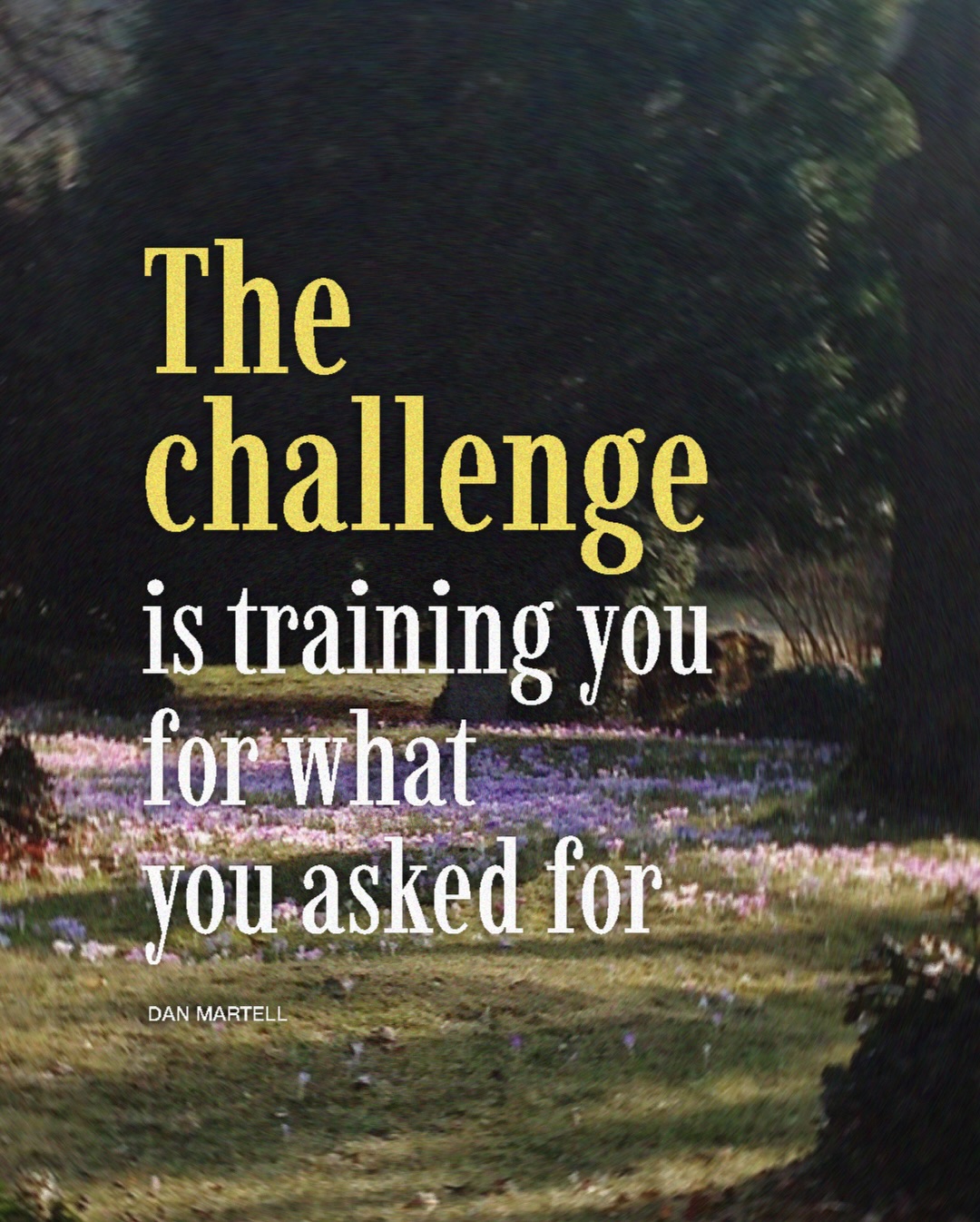 วู้ดดี้ - วุฒิธร มิลินทจินดา