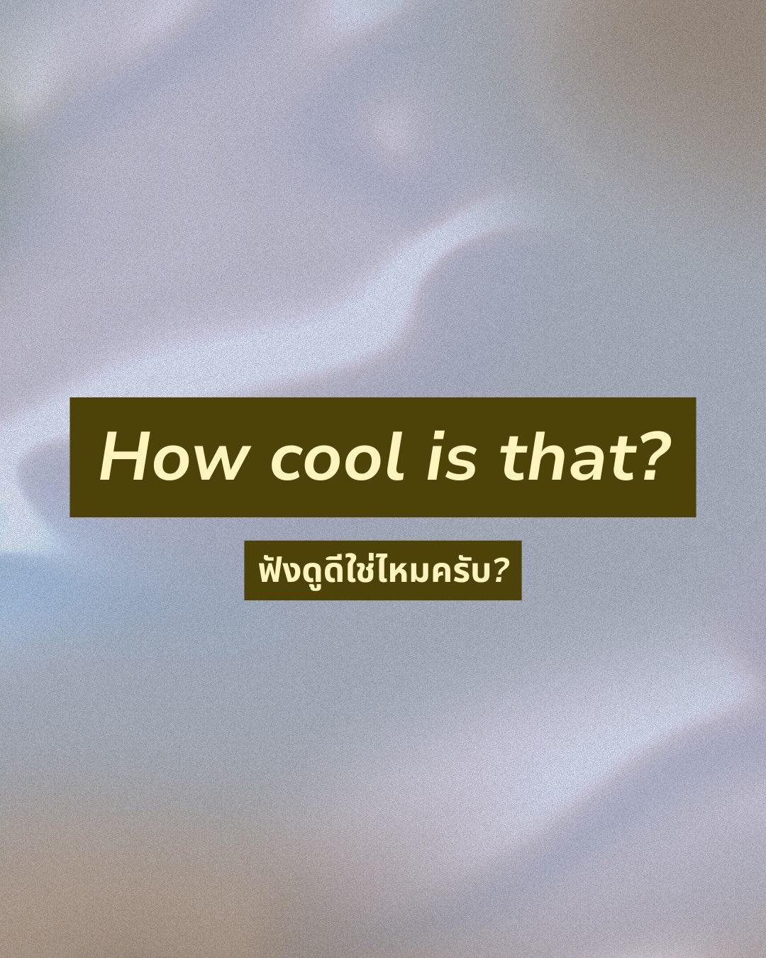 วู้ดดี้ - วุฒิธร มิลินทจินดา