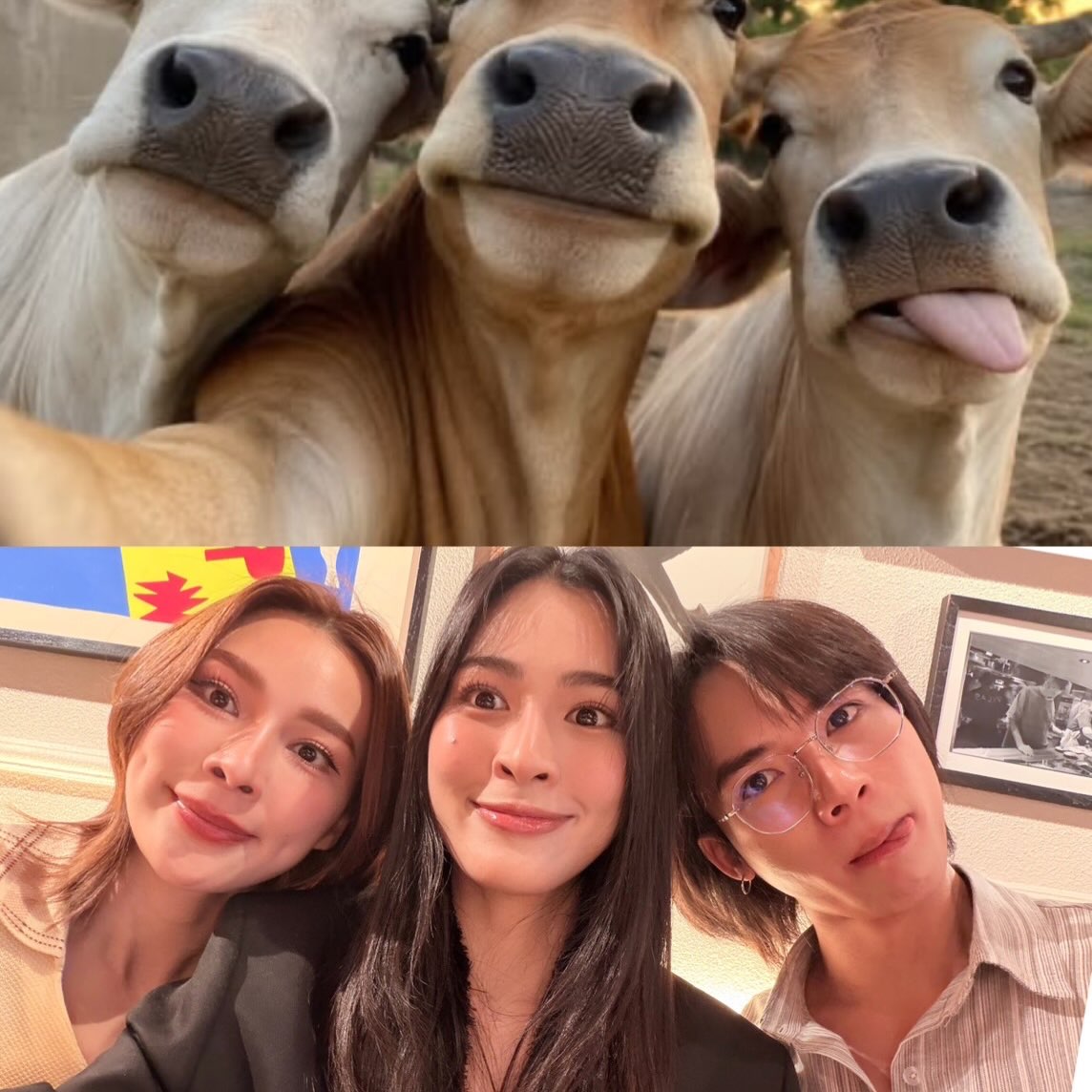 ฟลุ๊คจ์ - พงศภัทร์ กันคํา