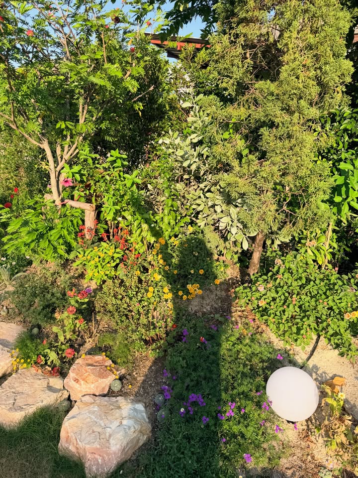 ปันปัน - สุทัตตา อุดมศิลป์