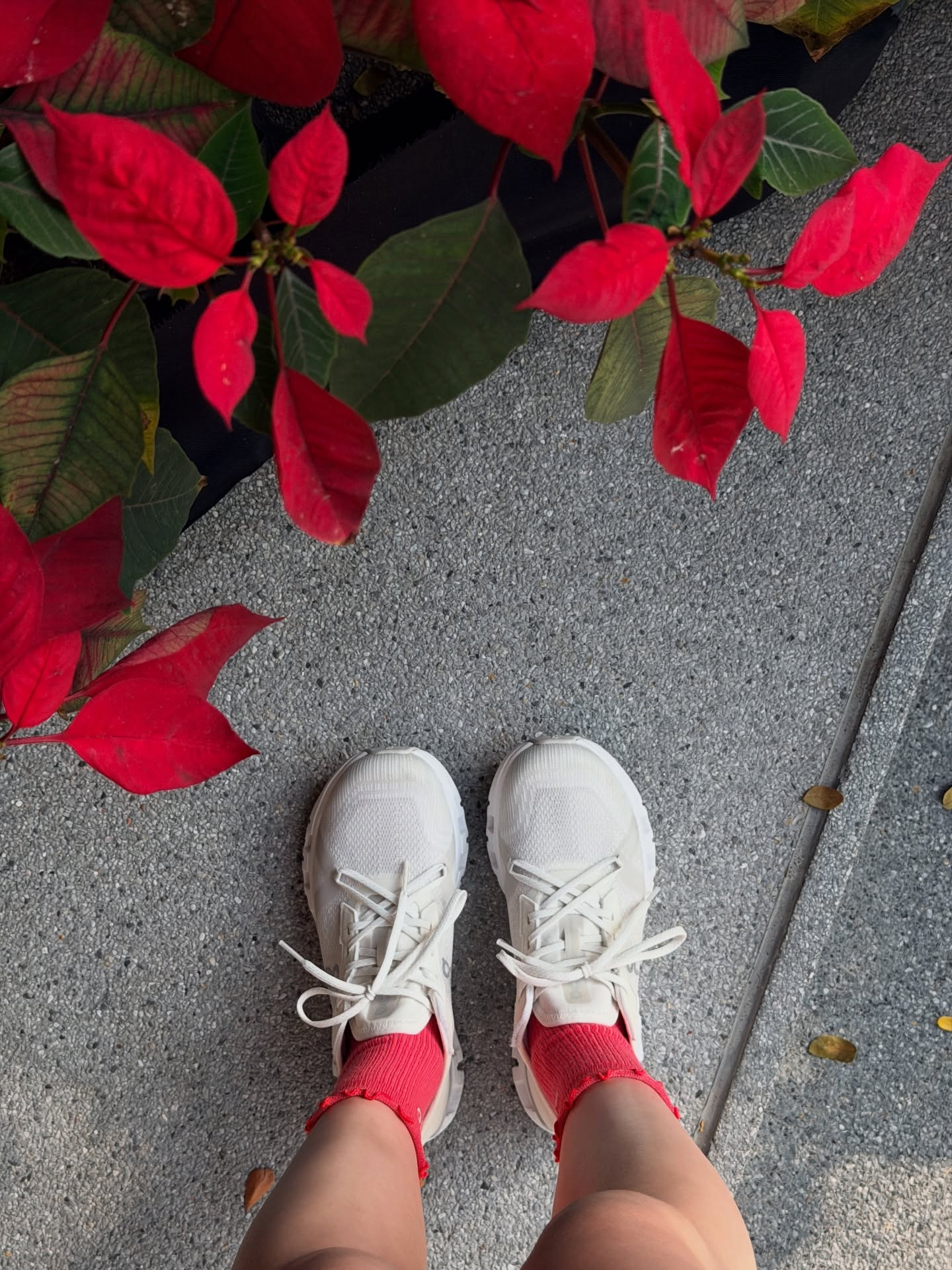 ปันปัน - สุทัตตา อุดมศิลป์