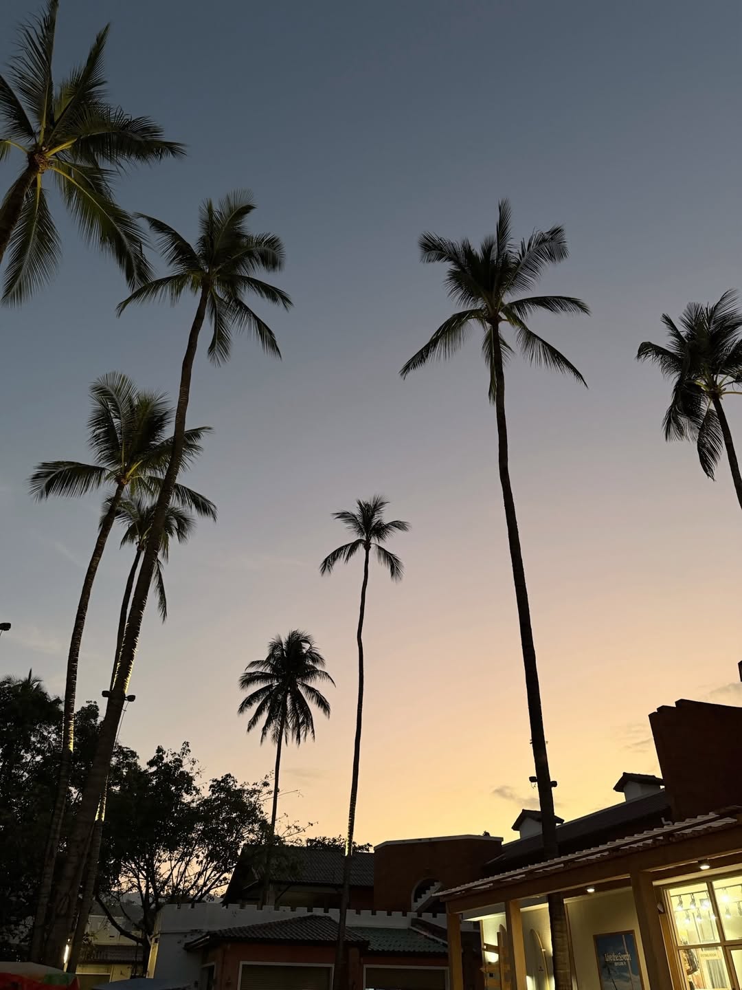 ปันปัน - สุทัตตา อุดมศิลป์