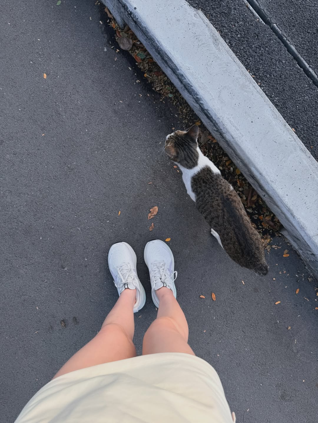 ปันปัน - สุทัตตา อุดมศิลป์