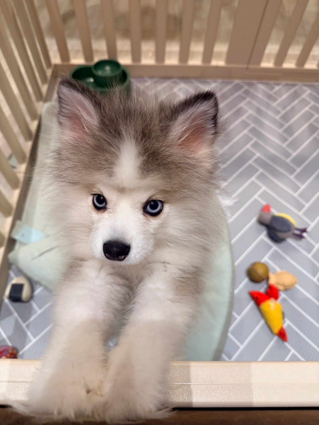 ปันปัน - สุทัตตา อุดมศิลป์