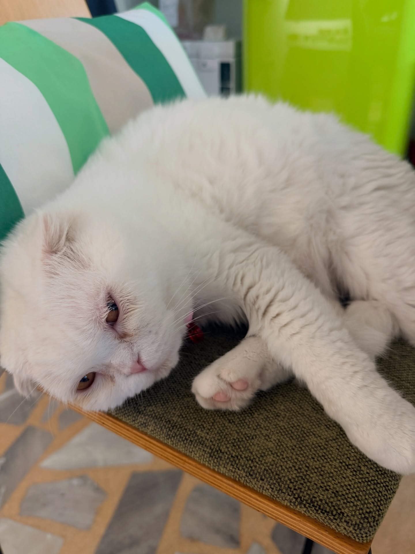 ปันปัน - สุทัตตา อุดมศิลป์