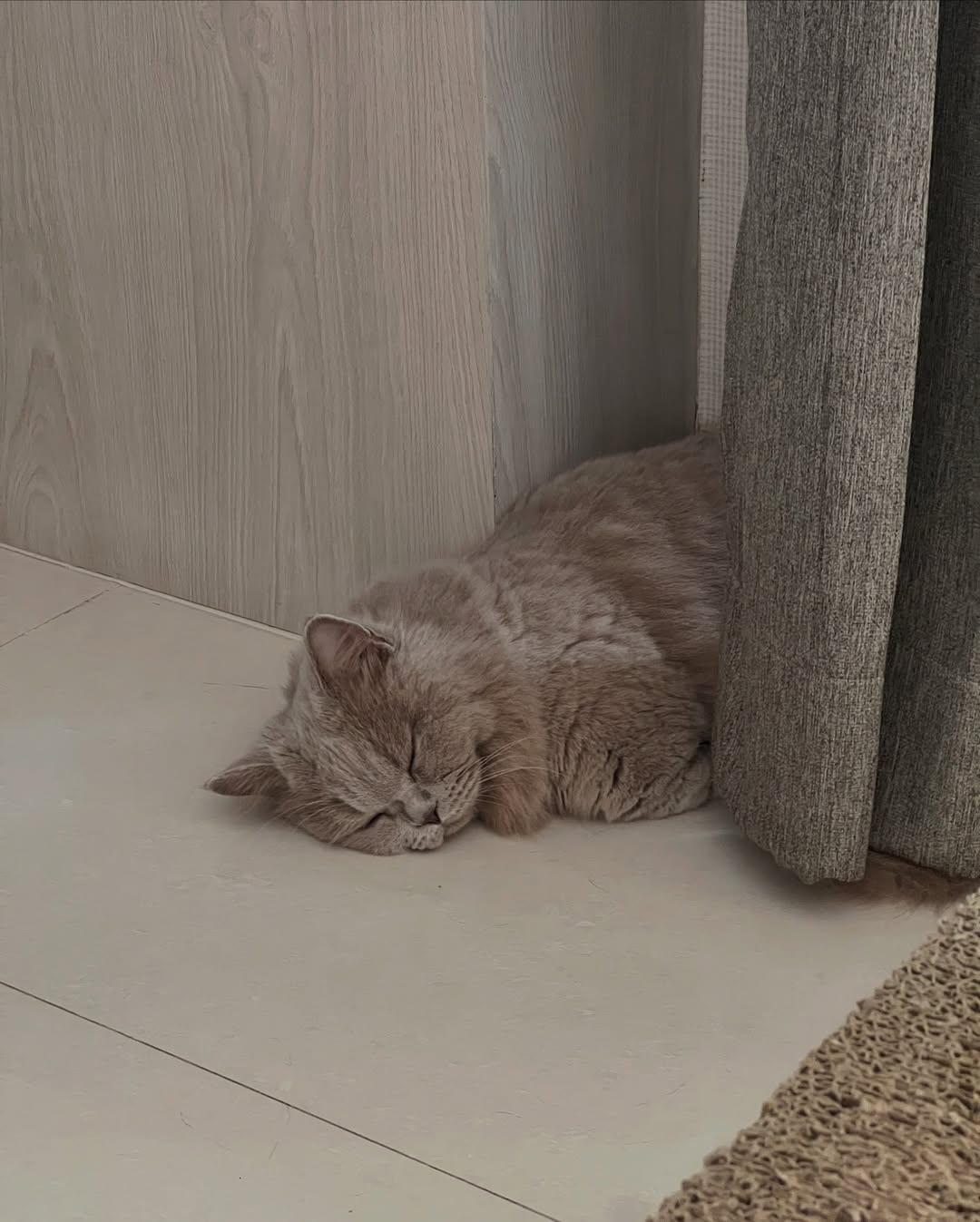 แยม - มทิรา ตันติประสุต