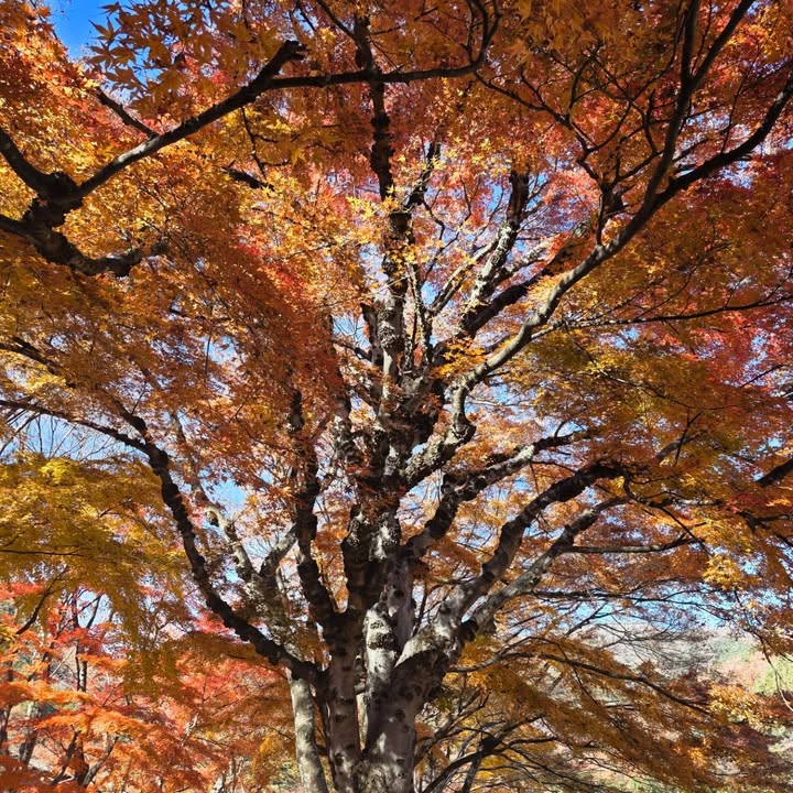 แปลน - รัฐวิทย์ กิจวรลักษณ์