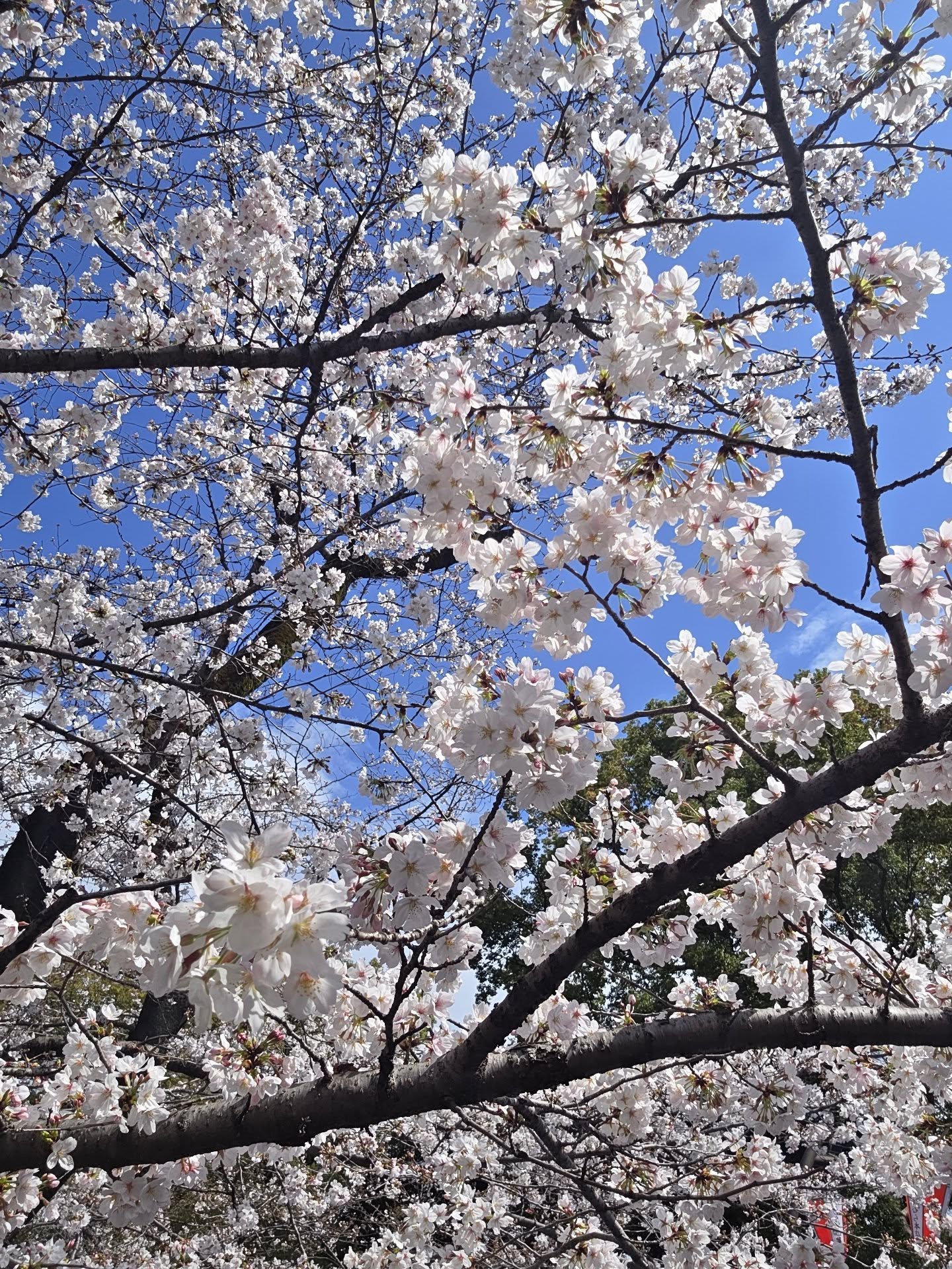 แปลน - รัฐวิทย์ กิจวรลักษณ์