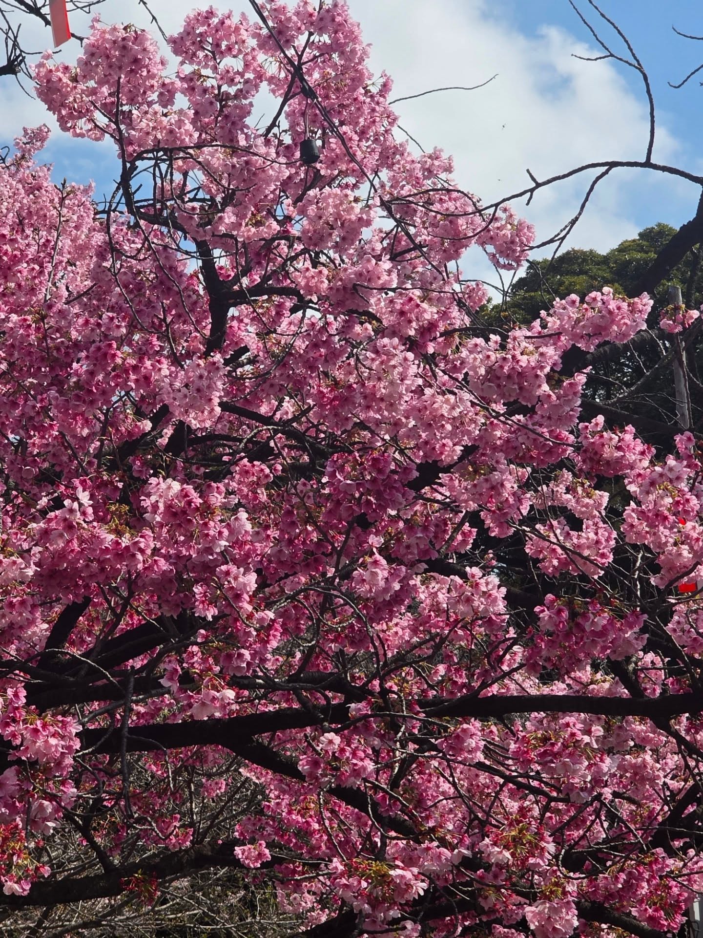 แปลน - รัฐวิทย์ กิจวรลักษณ์