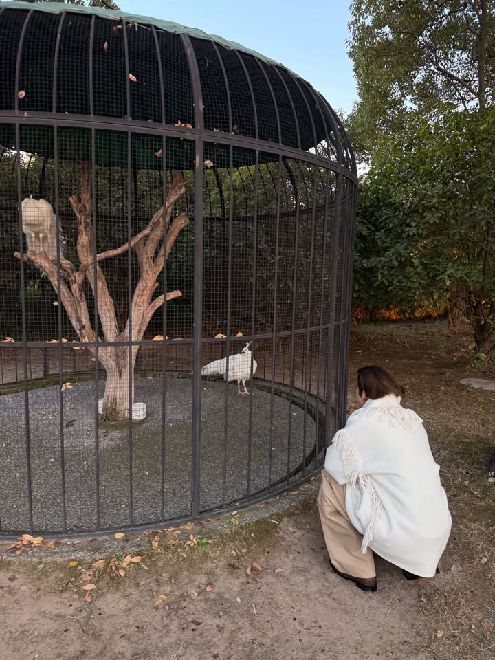 พีพี - กฤษฏ์ อำนวยเดชกร