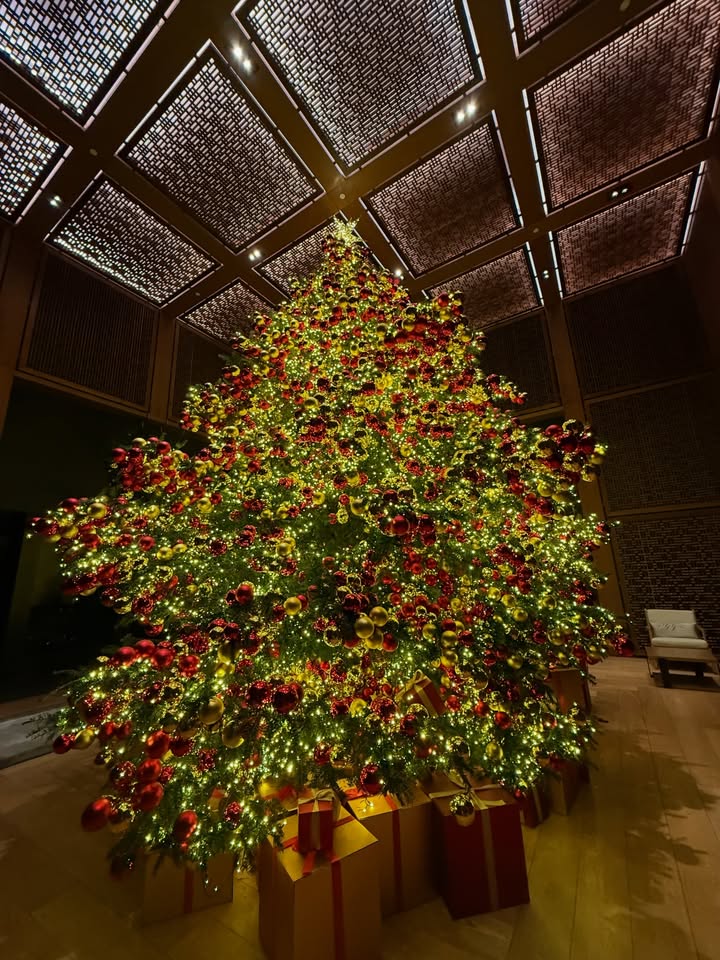 พีพี - กฤษฏ์ อำนวยเดชกร