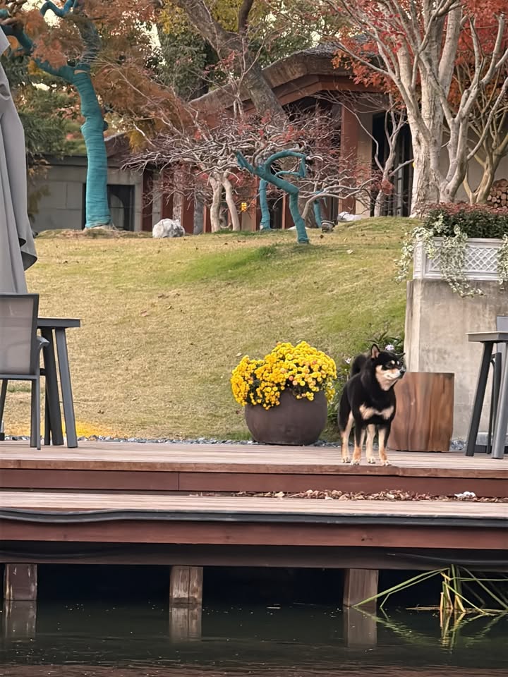 พีพี - กฤษฏ์ อำนวยเดชกร