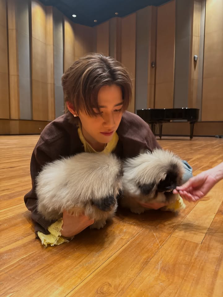 พีพี - กฤษฏ์ อำนวยเดชกร