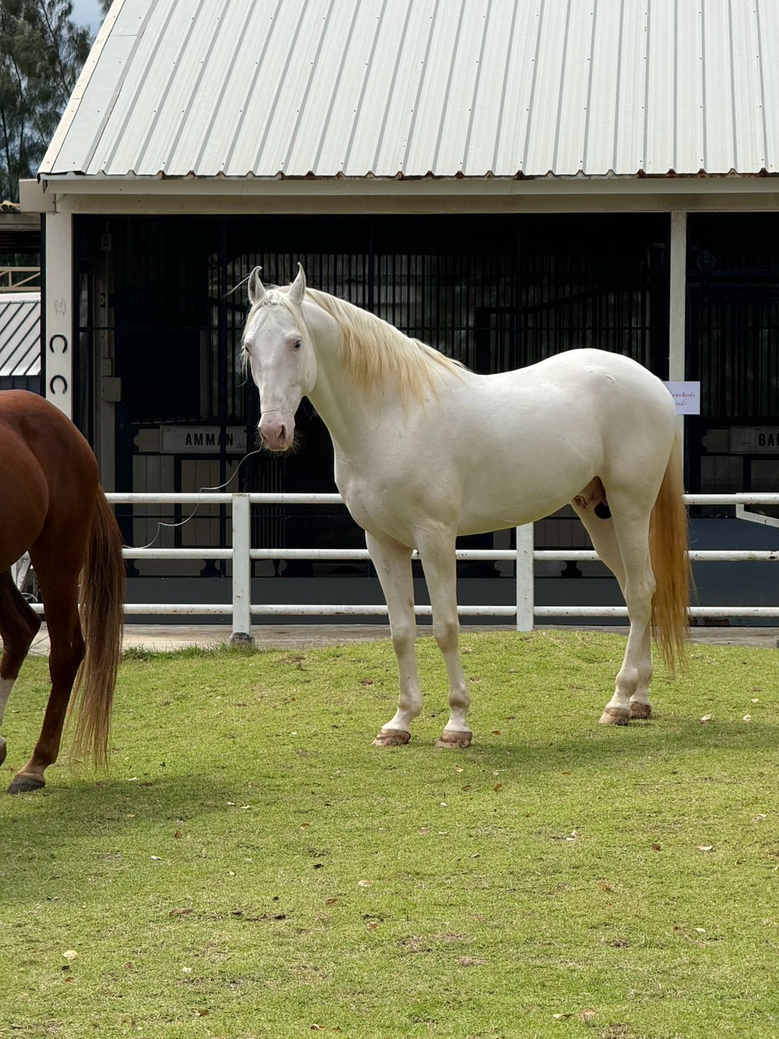 พีพี - กฤษฏ์ อำนวยเดชกร