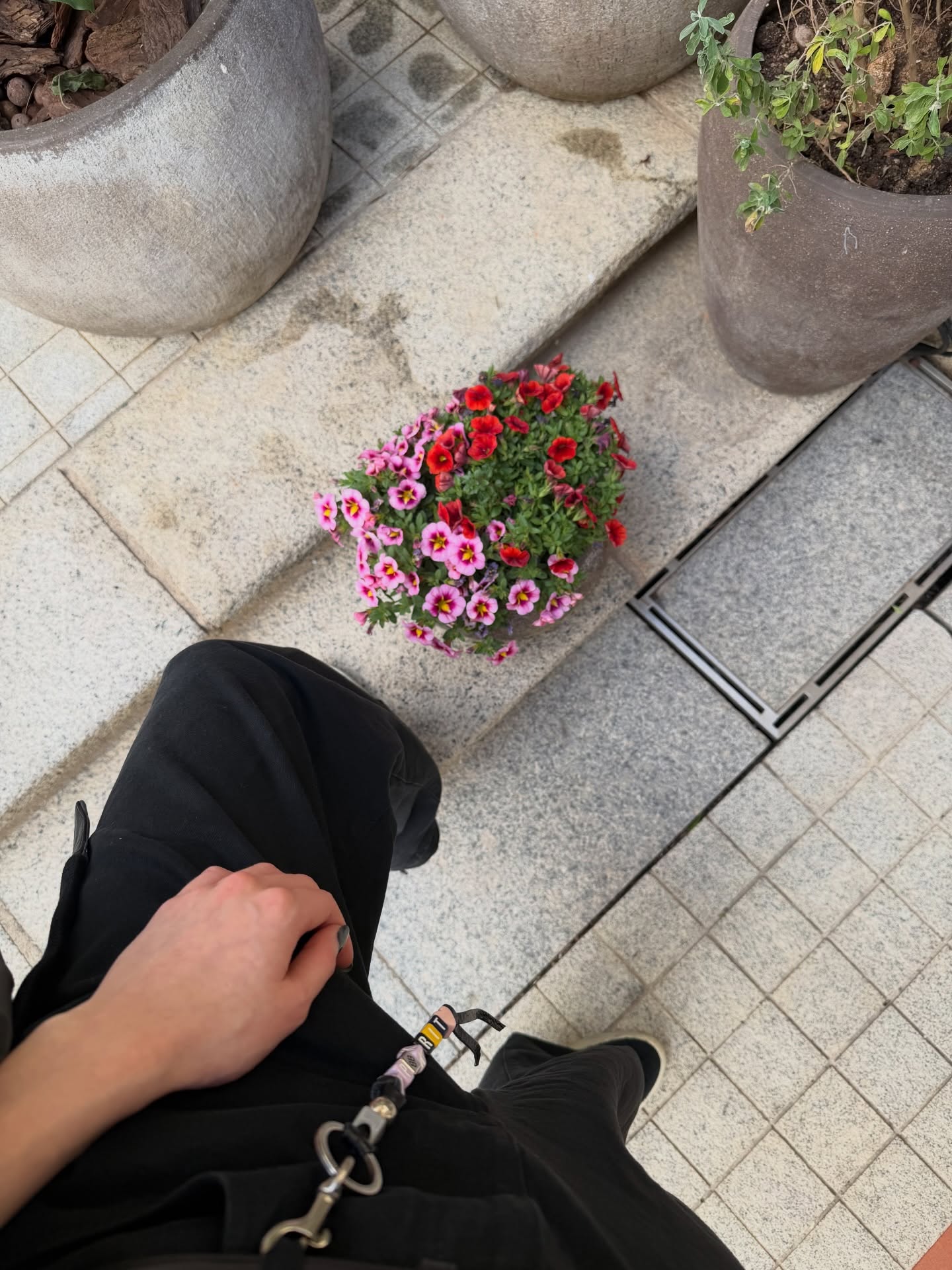 พีพี - กฤษฏ์ อำนวยเดชกร