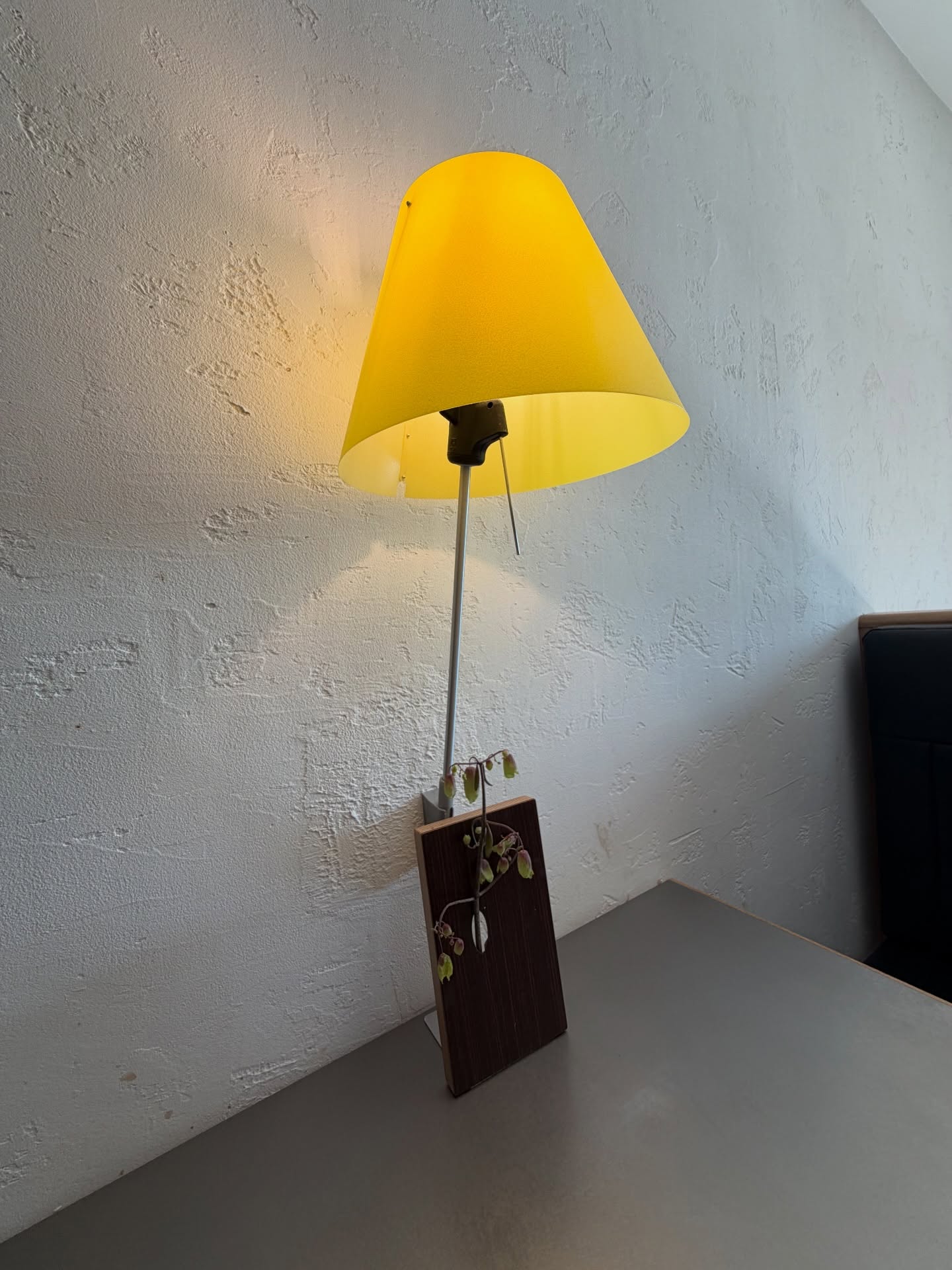 พีพี - กฤษฏ์ อำนวยเดชกร