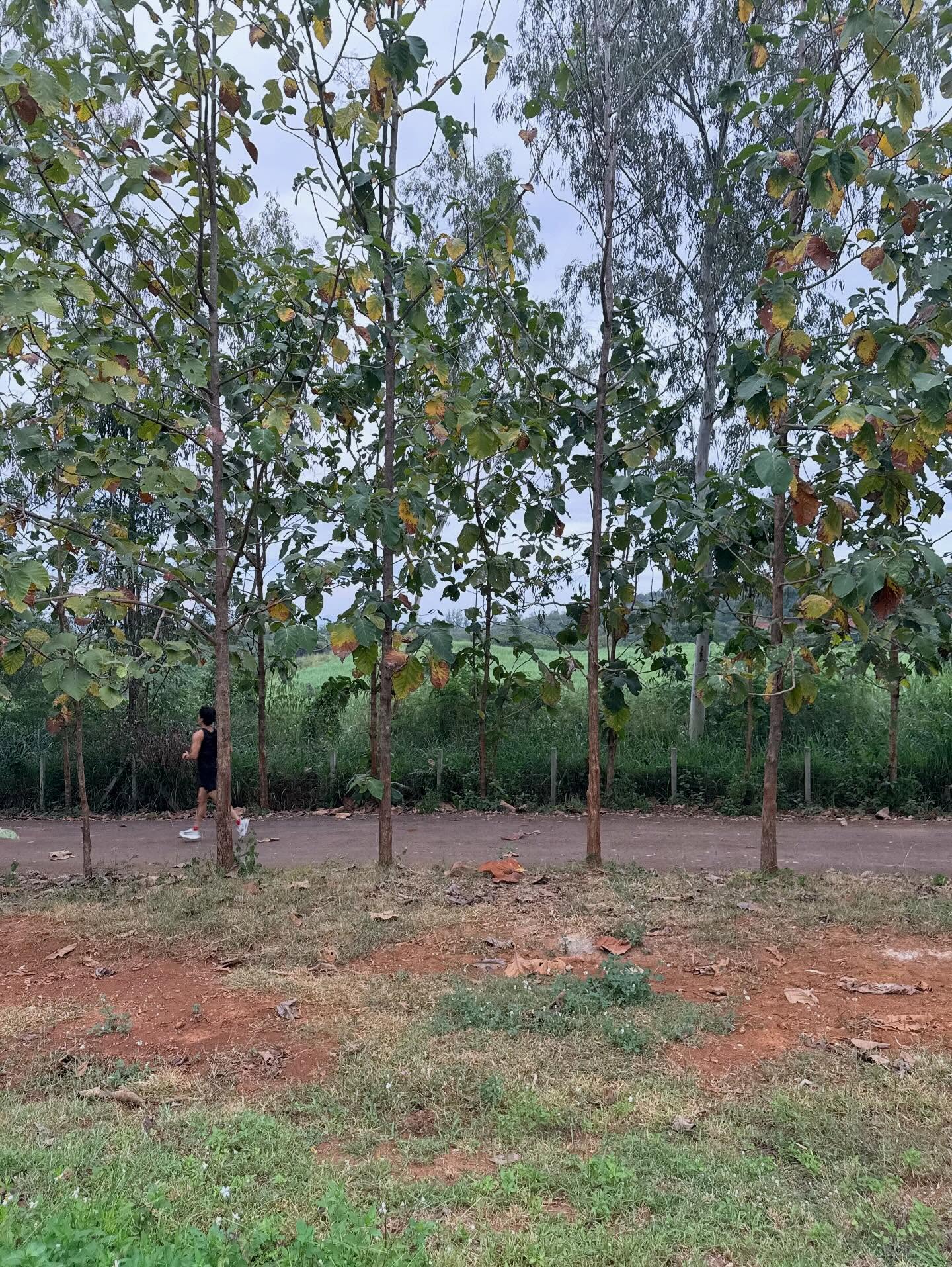 ก็อต - อิทธิพัทธ์ ฐานิตย์