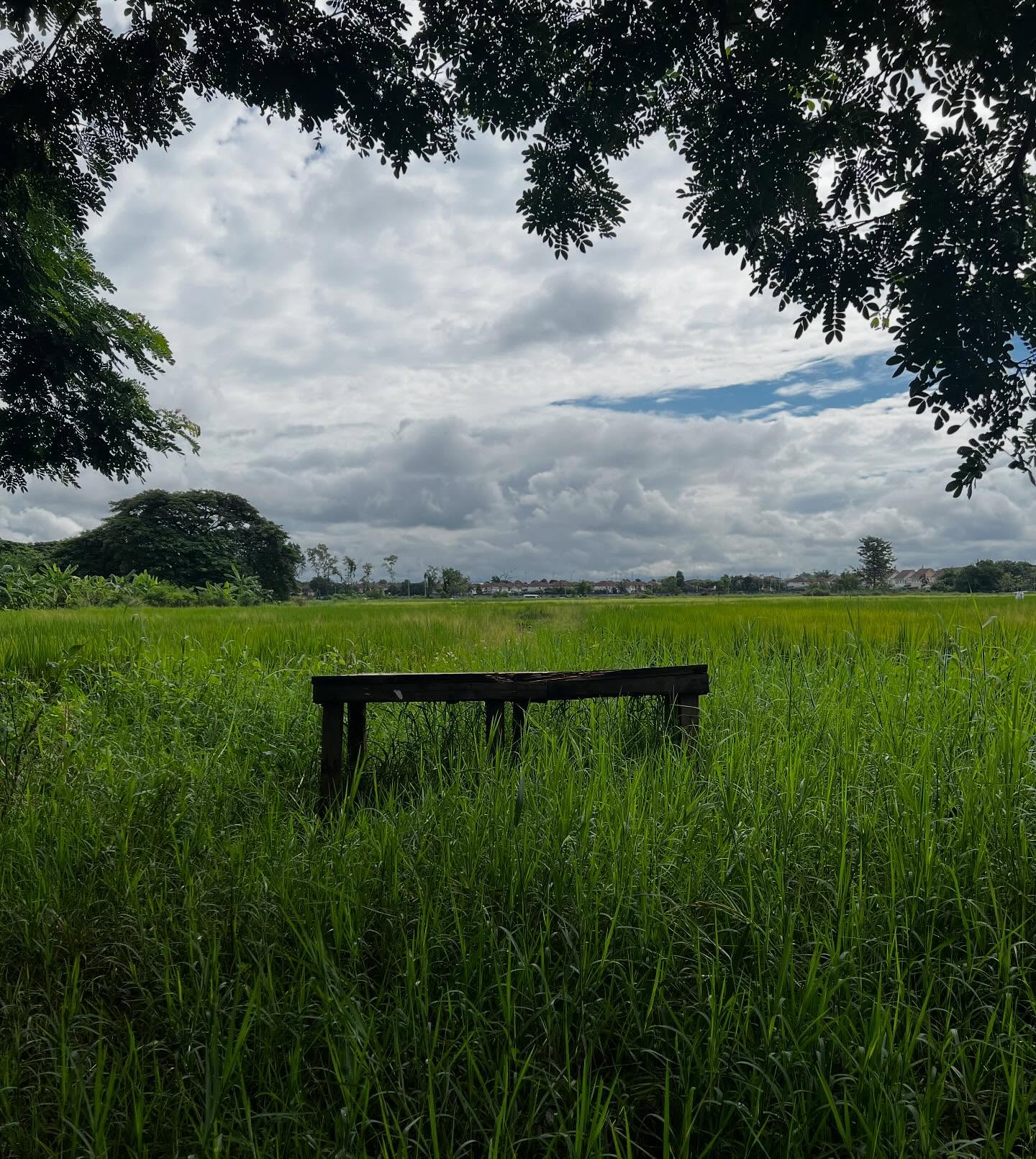 ก็อต - อิทธิพัทธ์ ฐานิตย์