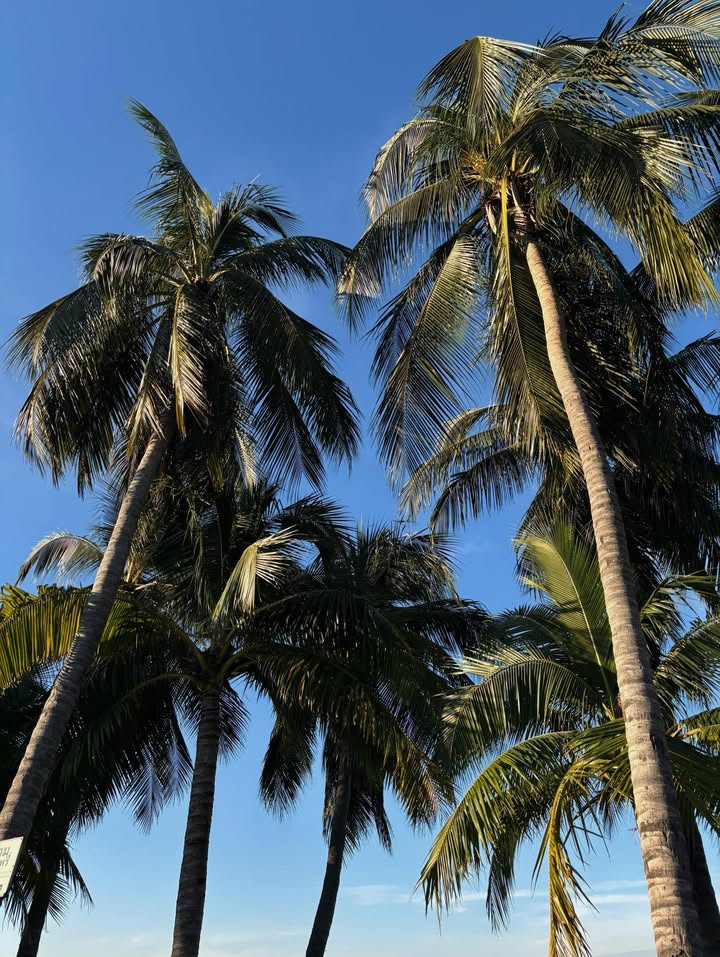 ก็อต - อิทธิพัทธ์ ฐานิตย์